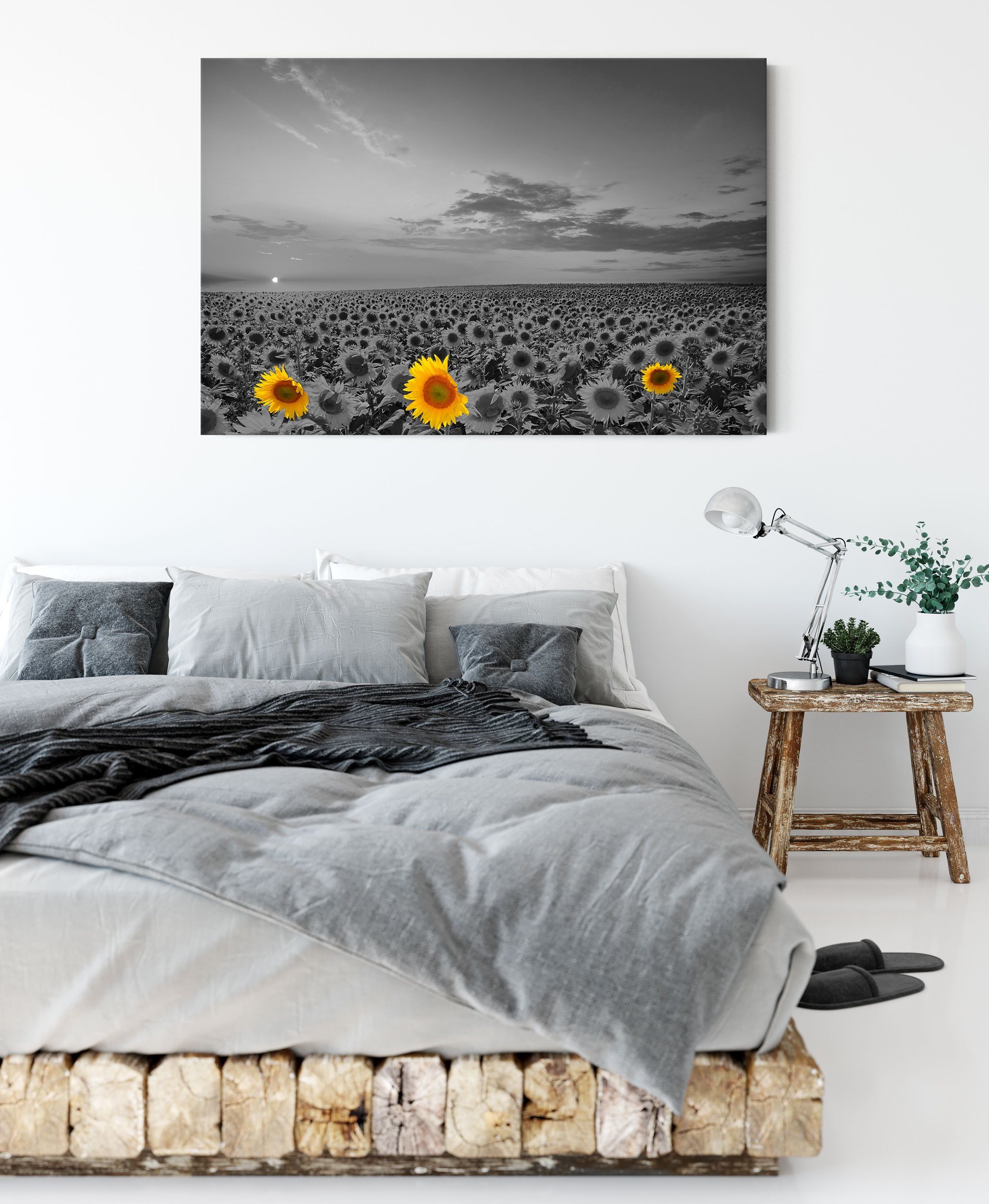schönes Zackenaufhänger Leinwandbild Leinwandbild bespannt, Sonnenblumenfeld, fertig schönes Sonnenblumenfeld St), Pixxprint (1 inkl.