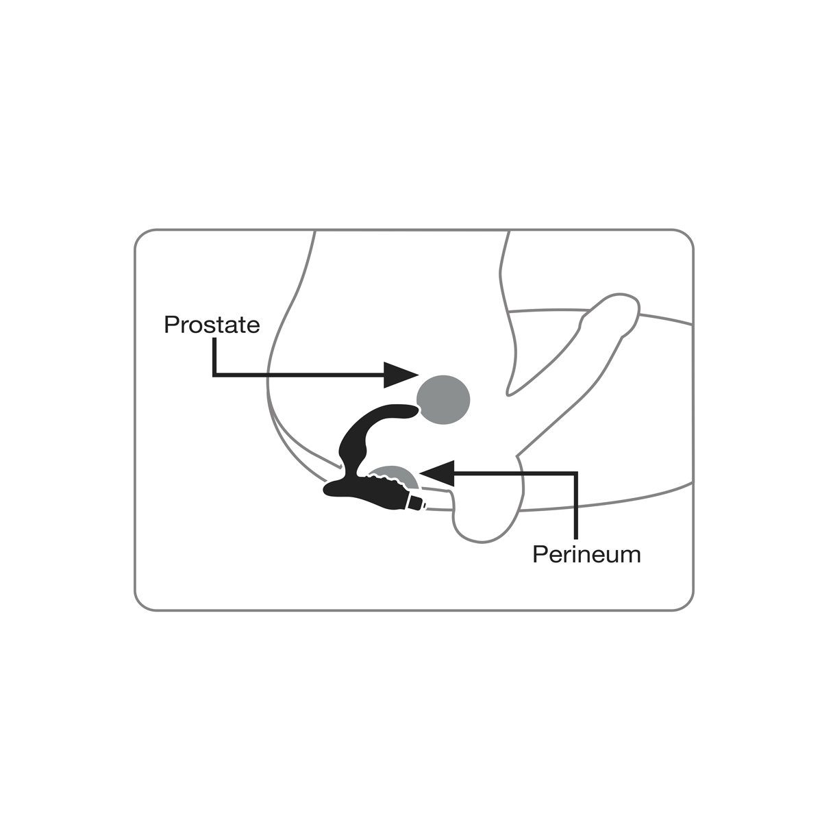 Vibrator Naughty Boy P-Spot Anal-Plug Vibration Prostata mit Rocks-Off Analvibrator