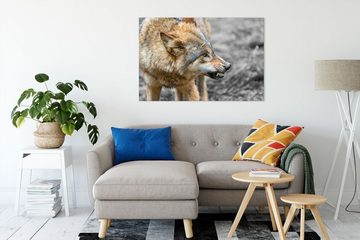 Pixxprint Leinwandbild wütender Wolf, wütender Wolf (1 St), Leinwandbild fertig bespannt, inkl. Zackenaufhänger