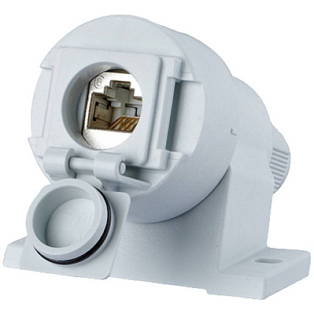 E-DAT Industry IP67 V6 AP, 1 Port Cat.6A - E-DAT Netzwerk-Adapter