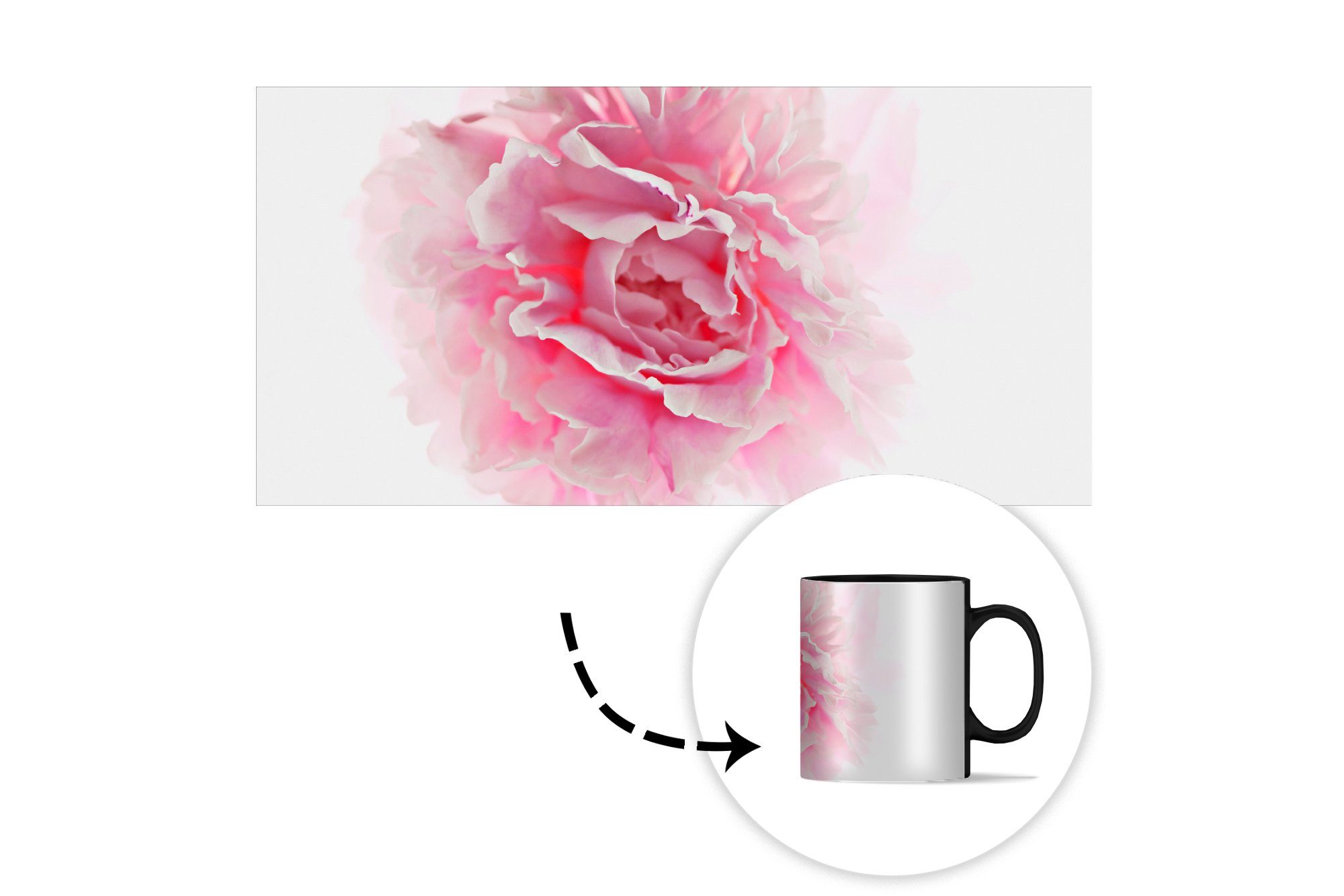 Keramik, Farbwechsel, rosa Draufsicht Hintergrund, Zaubertasse, Teetasse, Geschenk Pfingstrose Tasse Kaffeetassen, mit MuchoWow auf weißem eine
