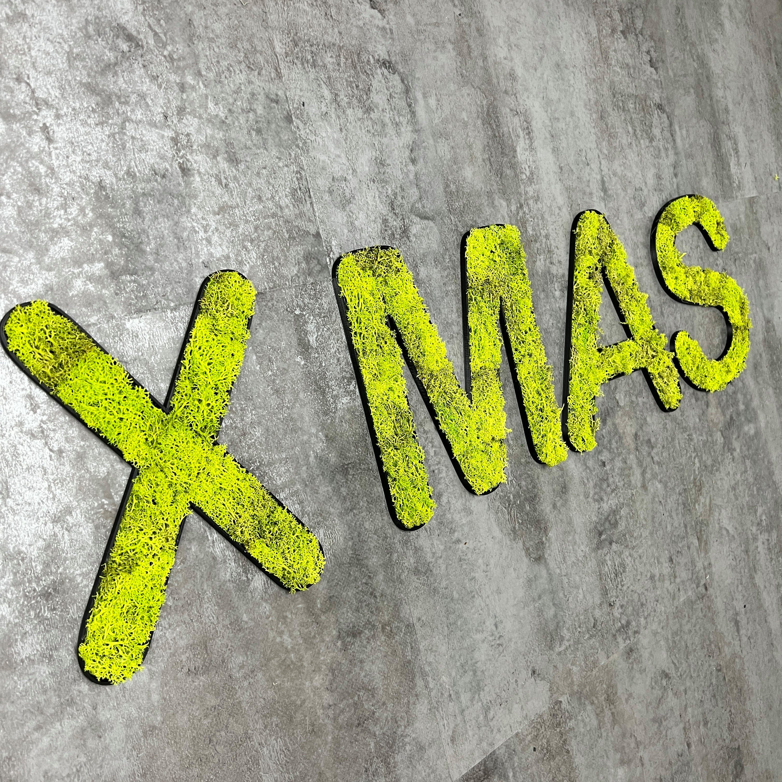 Islandmoos dixtime Wanddekoobjekt springgrün - Pflege! – ganze XMAS, Immergrün das Jahr Set 0%