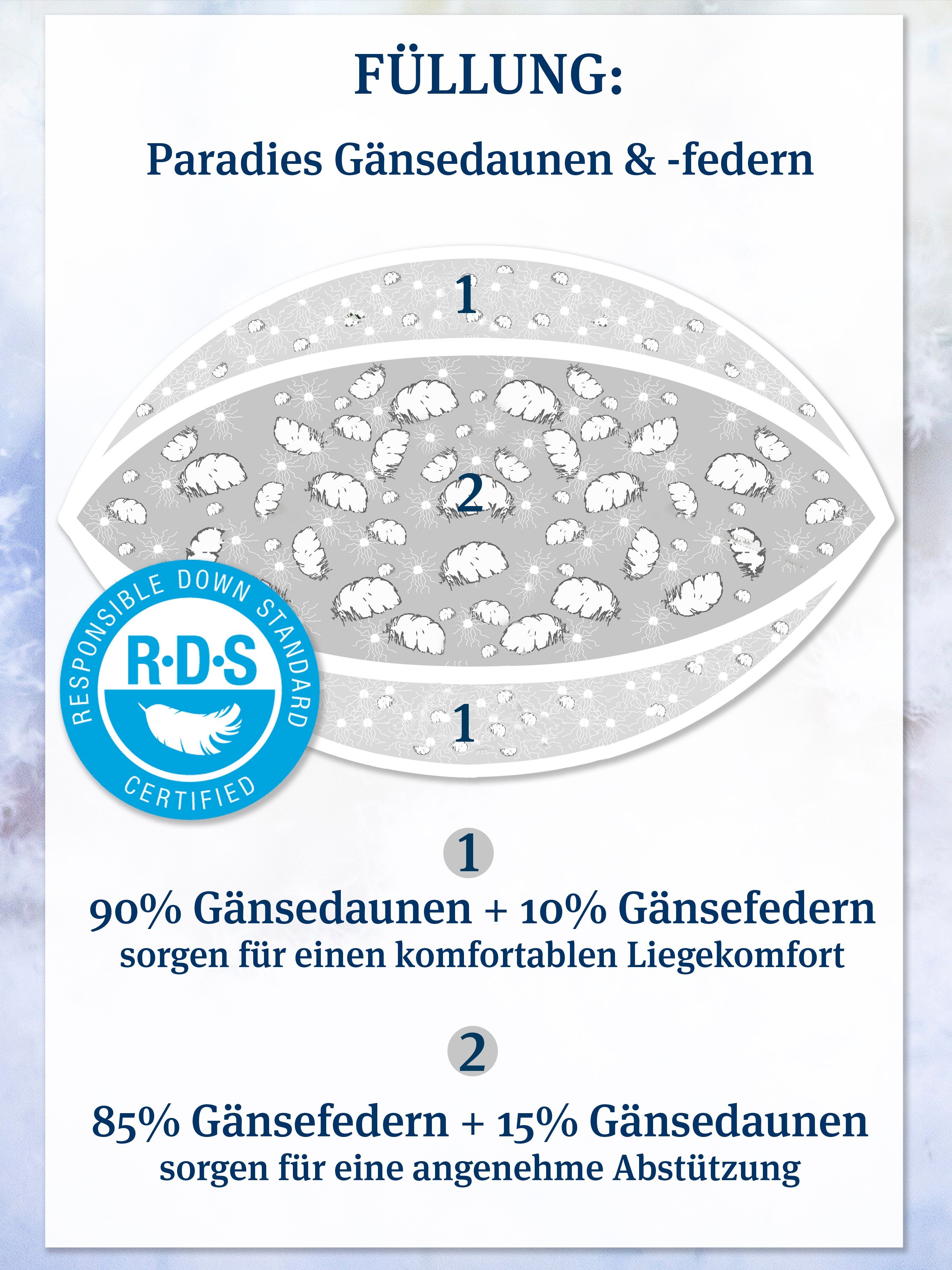 Paradies 3-Kammer-Kopfkissen Abbie, Füllung: Außenkammer: 90% Daunen, 10% Federn Innenkammer: 85% Federn, 15% Daunen, Bezug: 100% Baumwolle, Seitenschläfer, Bauchschläfer, Rückenschläfer, Drei Kammer Kissen in 40x80, 80x80, mittlere Stützkraft & kuschelig