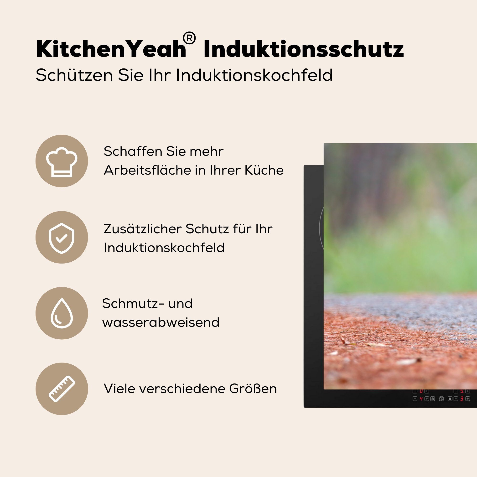 MuchoWow Herdblende-/Abdeckplatte Vogel - Fasan - Induktionskochfeld küche, die (1 Ceranfeldabdeckung Schutz cm, Federn, 81x52 Vinyl, tlg), für
