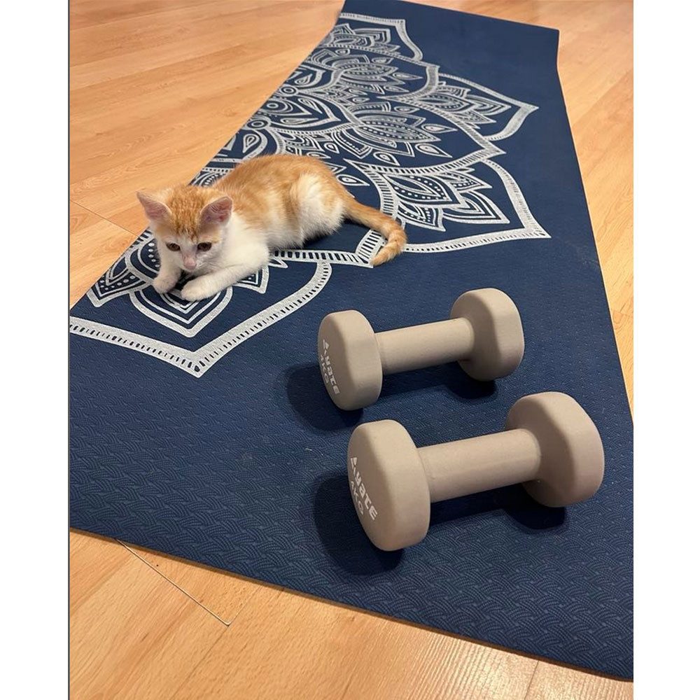 Yate Gymnastikhantel Yate Neopren Hantel Set Gymnastikhantel Fitnesshantel, (Set), Anti Rolling