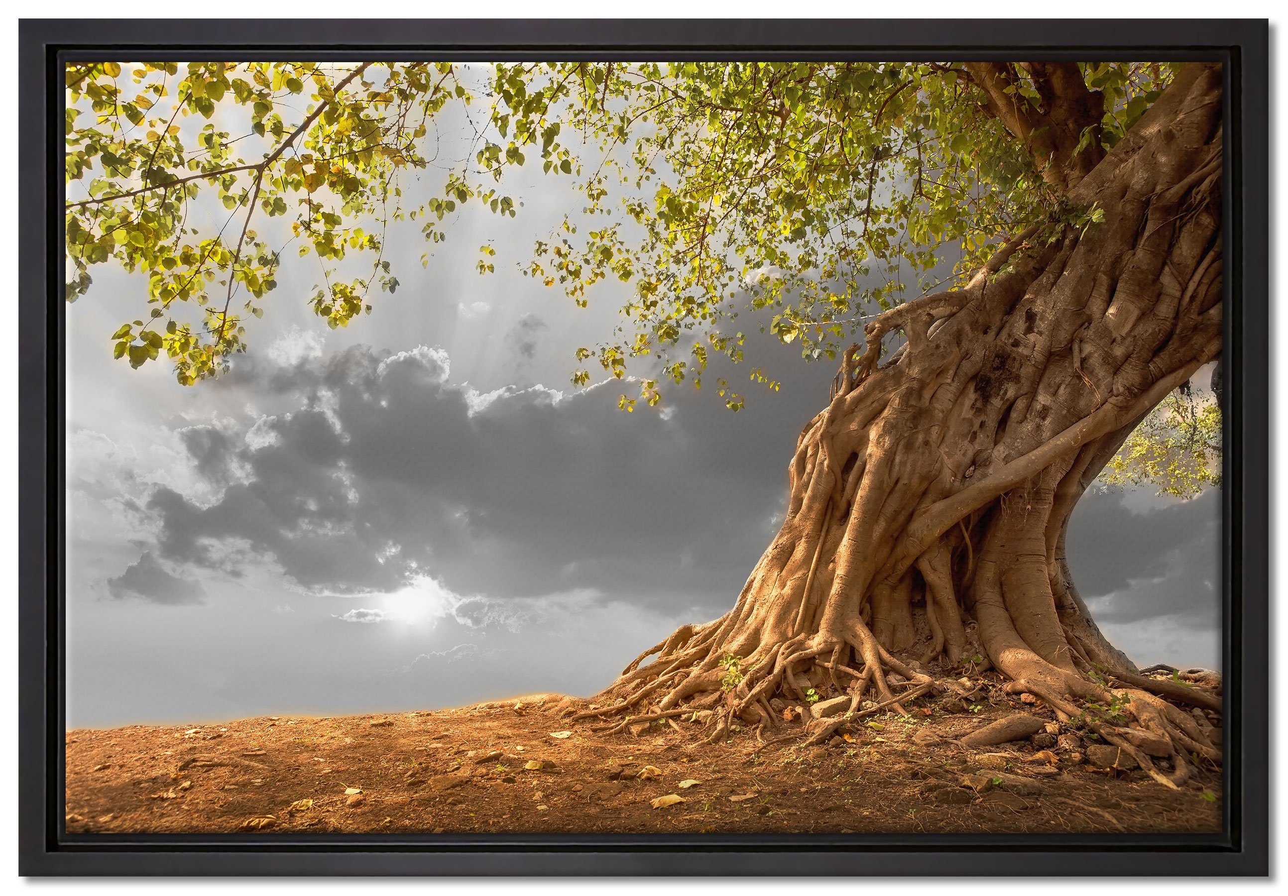 Pixxprint Leinwandbild Baum, Wanddekoration (1 St), Leinwandbild fertig bespannt, in einem Schattenfugen-Bilderrahmen gefasst, inkl. Zackenaufhänger