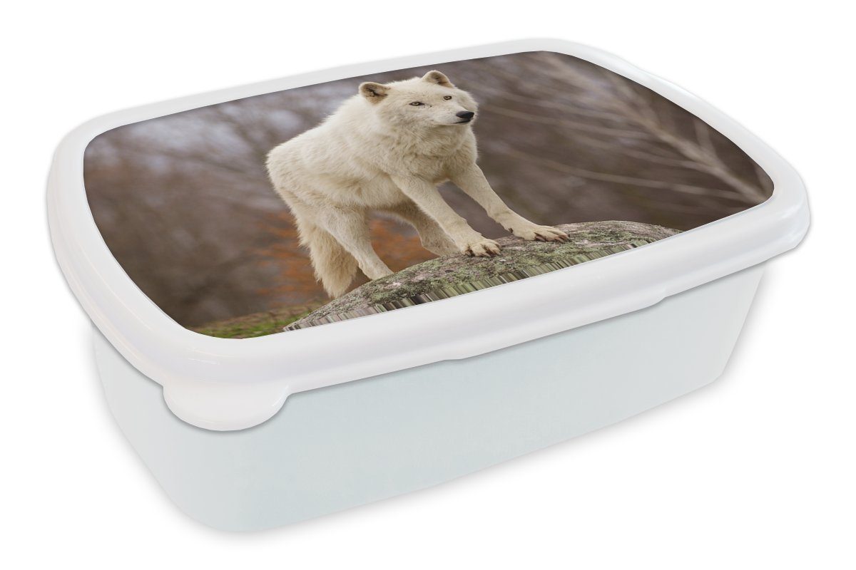 MuchoWow Lunchbox Wolf - Stein - Weiß, Kunststoff, (2-tlg), Brotbox für Kinder und Erwachsene, Brotdose, für Jungs und Mädchen