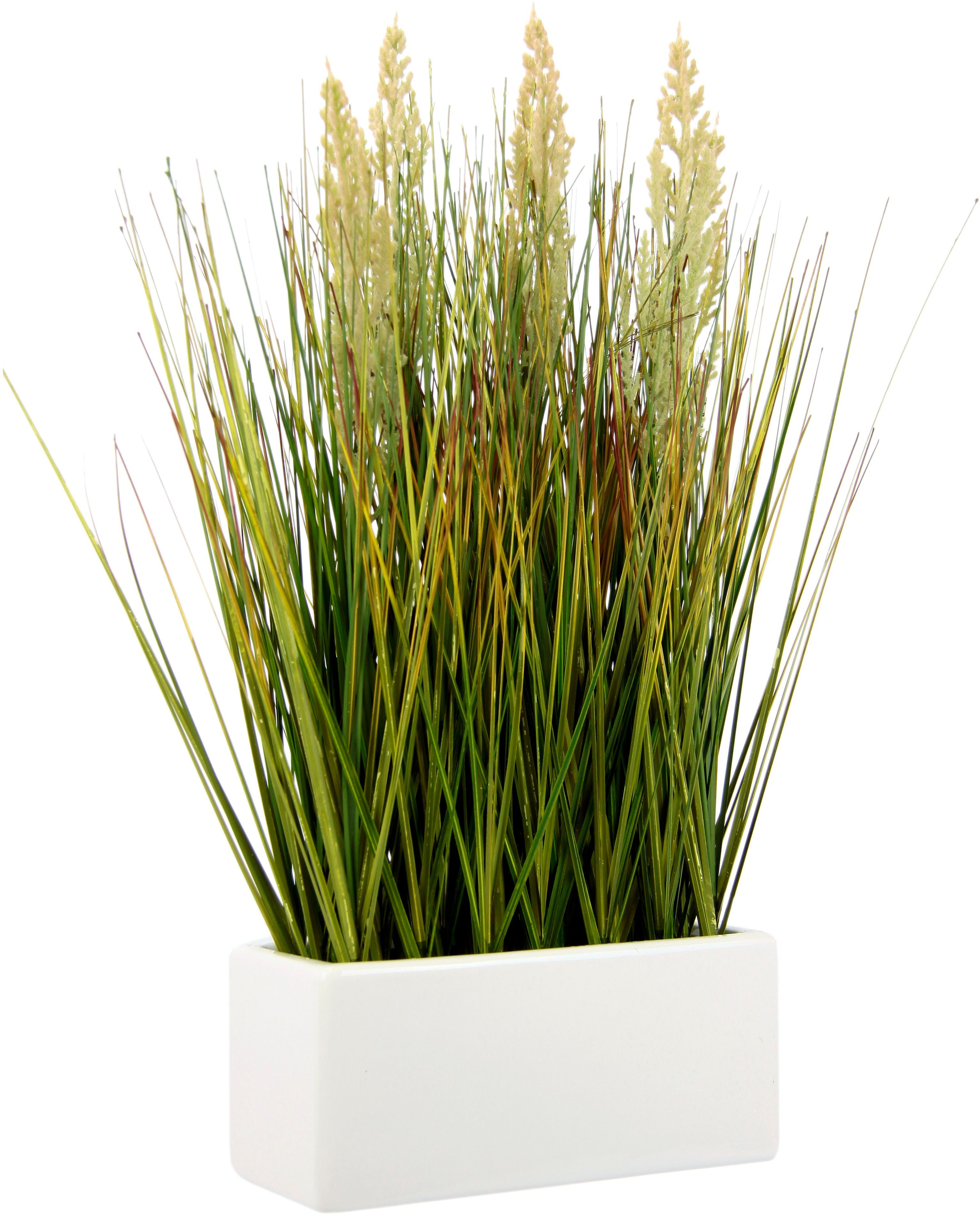 Kunstgras Gras, I.GE.A., Höhe 45 cm, in Keramikschale günstig online kaufen
