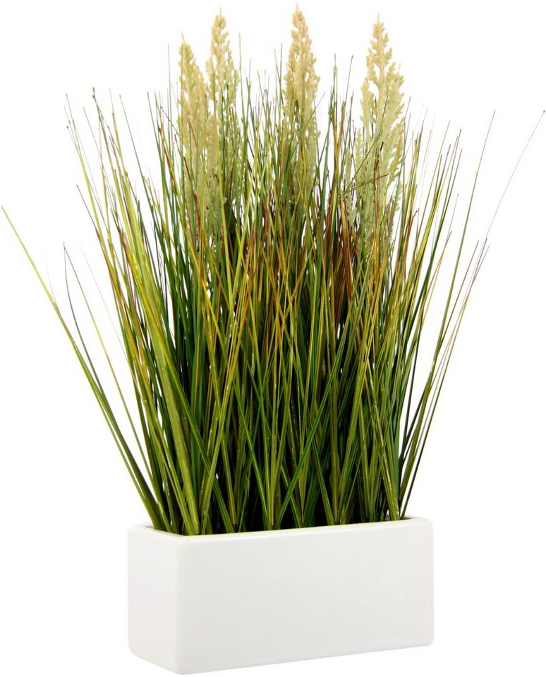 Kunstgras Gras, I.GE.A., Höhe 45 cm, in Keramikschale, Naturgetreue  Kunstpflanze »Grasbusch«