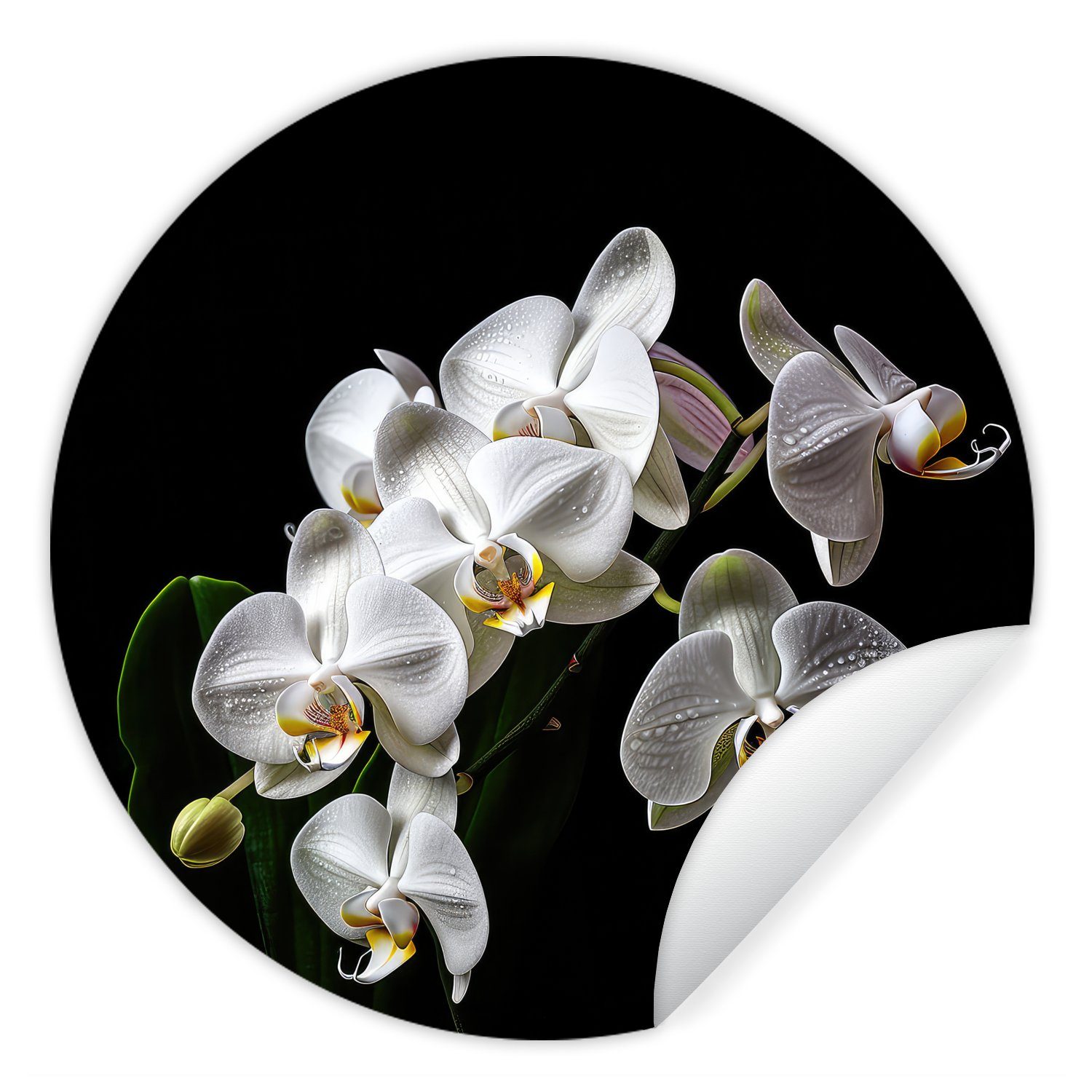 für (1 Tapetenkreis Schwarz MuchoWow Rund, Wandsticker Tapetenaufkleber, - Wohnzimmer - - Orchidee Natur St), Blumen Weiß - Kinderzimmer,