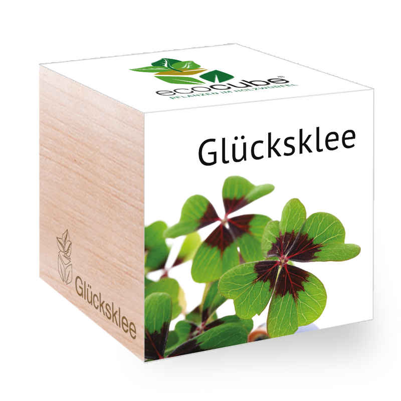 Feel Green Blumenerde Ecocube Glücksklee von Feel Green, Nachhaltige Geschenkidee, (1-St)