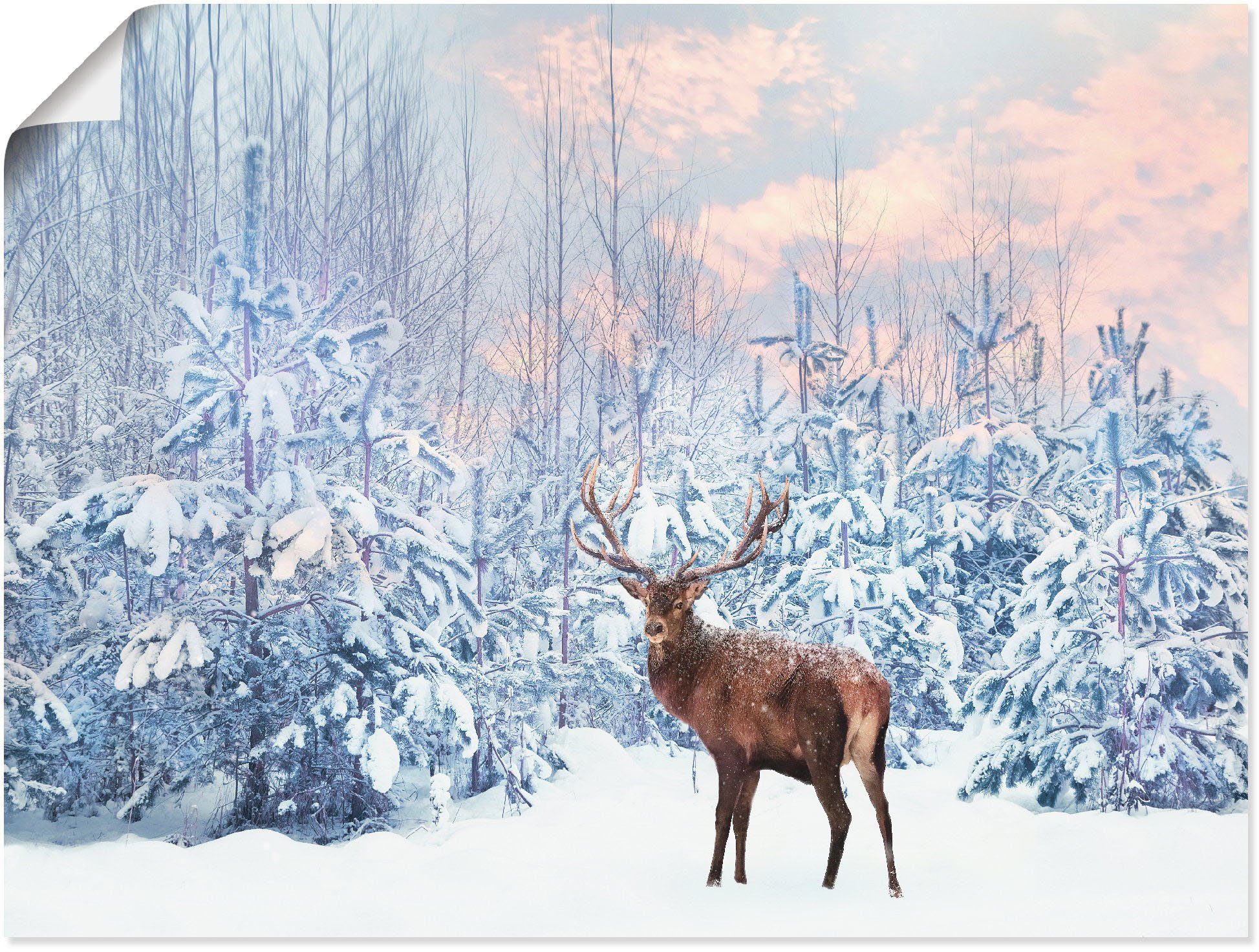 (1 Alubild, Wandbild oder versch. Winterwald, Hirschbilder Wandaufkleber in im Poster Artland als Größen St), Leinwandbild, Hirsch