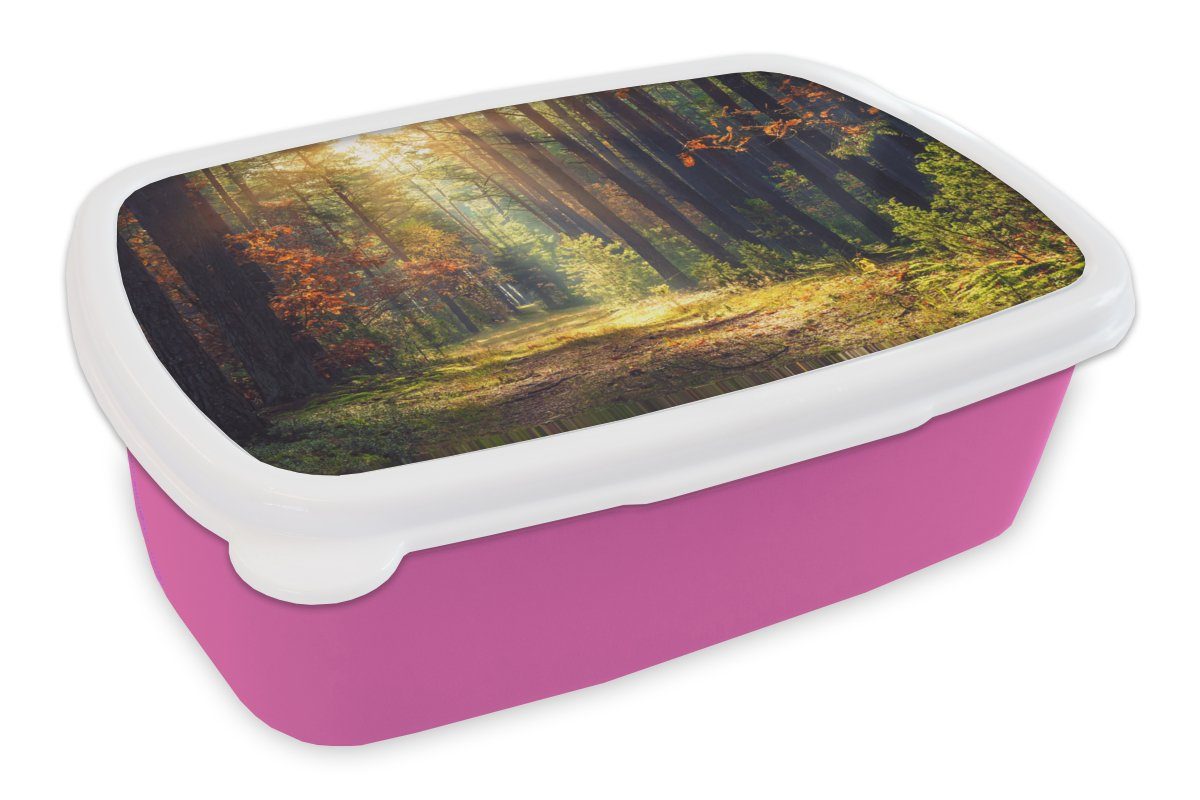 - Herbst für Brotdose Erwachsene, Snackbox, Bäume, Kunststoff Brotbox Lunchbox Mädchen, - (2-tlg), MuchoWow rosa Kinder, Wald Kunststoff,