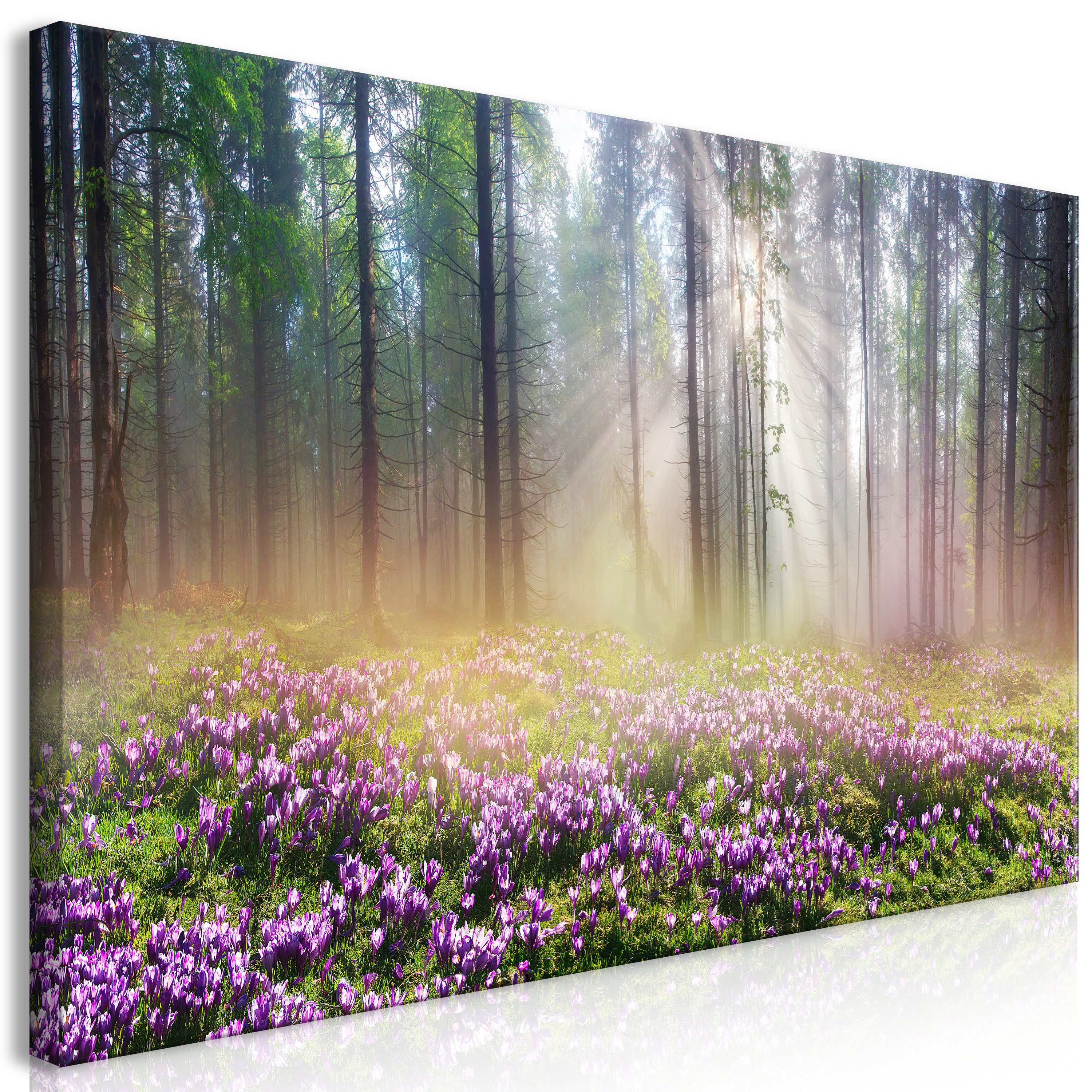 Artgeist Wandbild Purple Meadow (1 Part) Wide. € 75,58, (€ 308,49 pro 1 qm).