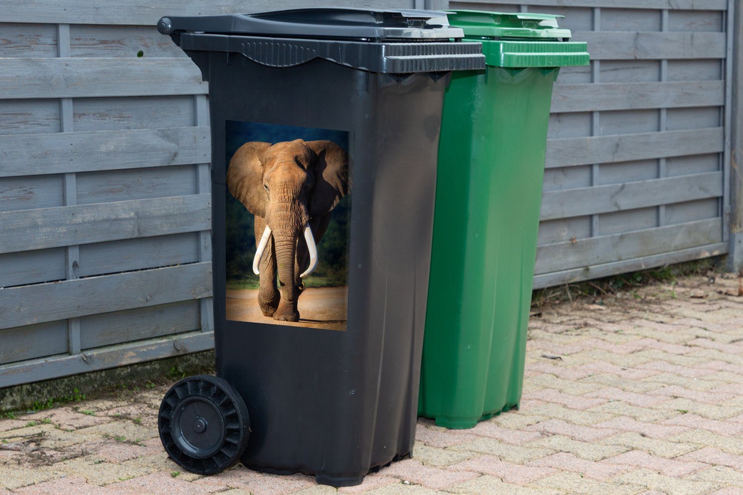 MuchoWow Wandsticker Elefant - Zähne Natur - Abfalbehälter Mülleimer-aufkleber, (1 Sticker, Container, Mülltonne, St)
