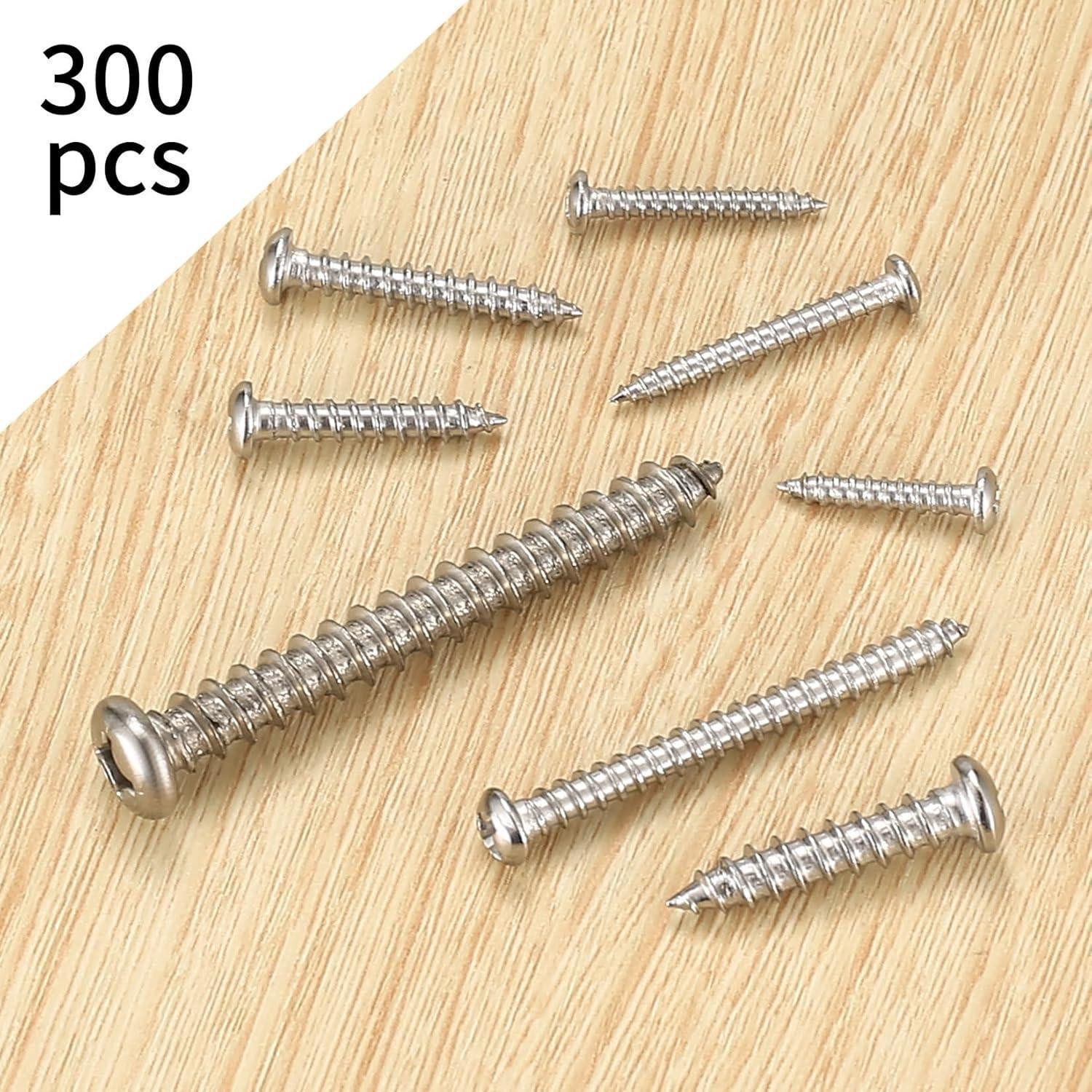 LuxusKollektion Blechschraube Schrauben 300 Stk Edelstahl M3-M6 selbstschneidend Kreuzschlitz Box