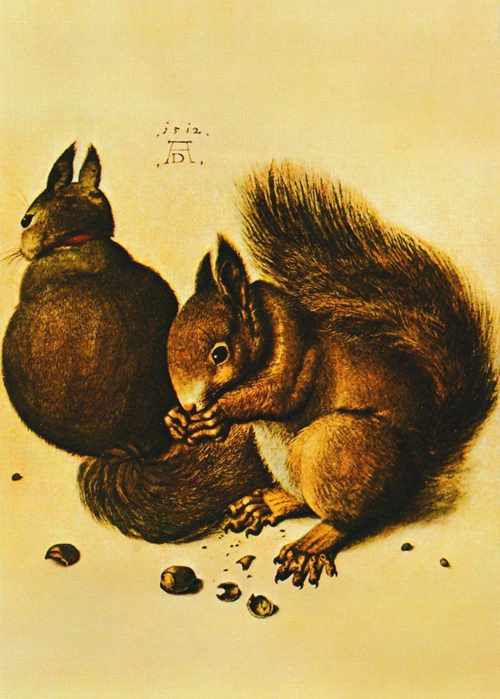 Postkarte Kunstkarte Albrecht Dürer "Eichhörnchen"