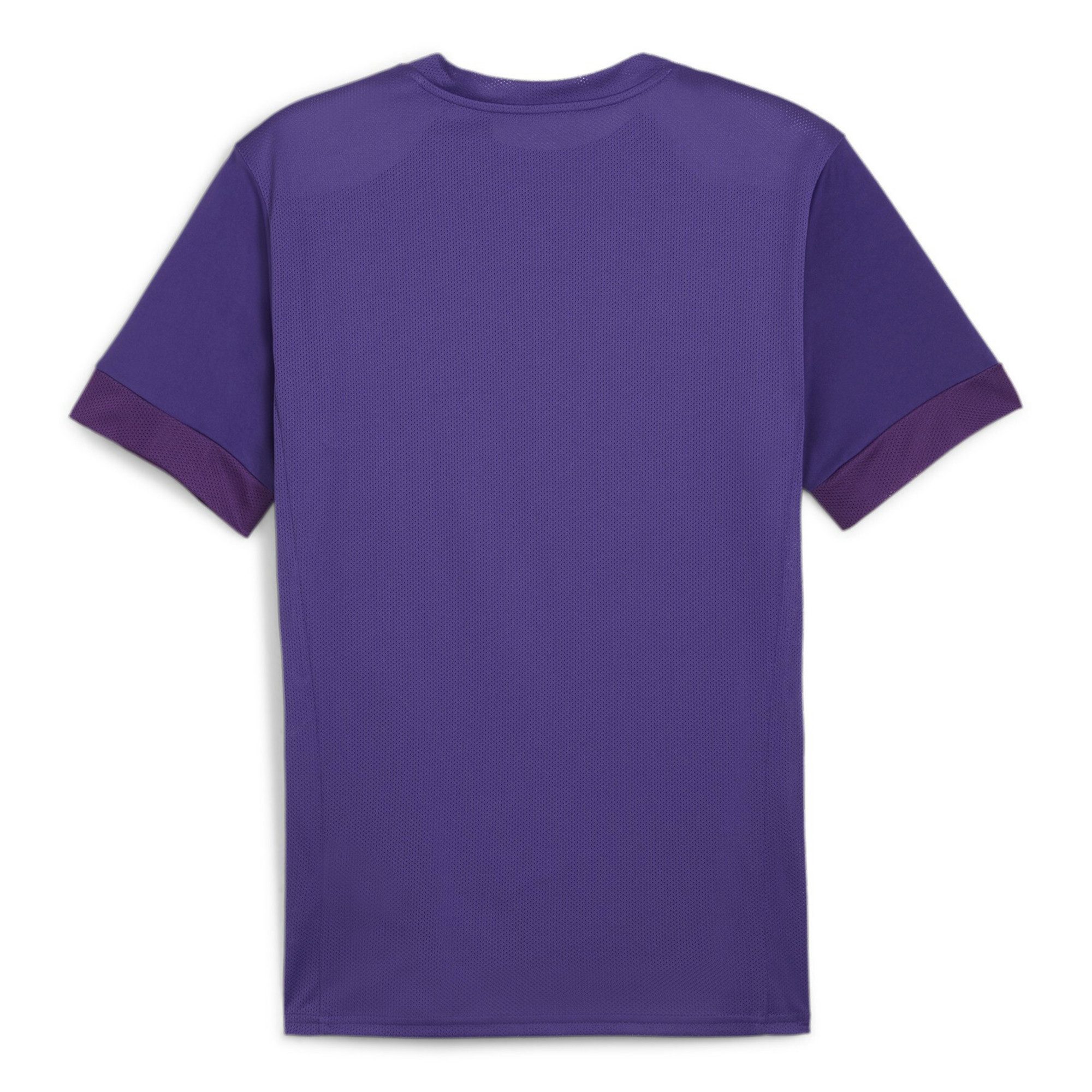 PUMA Fußballtrikot Puma Herren Trikot teamGOAL Matchday Jersey 705747