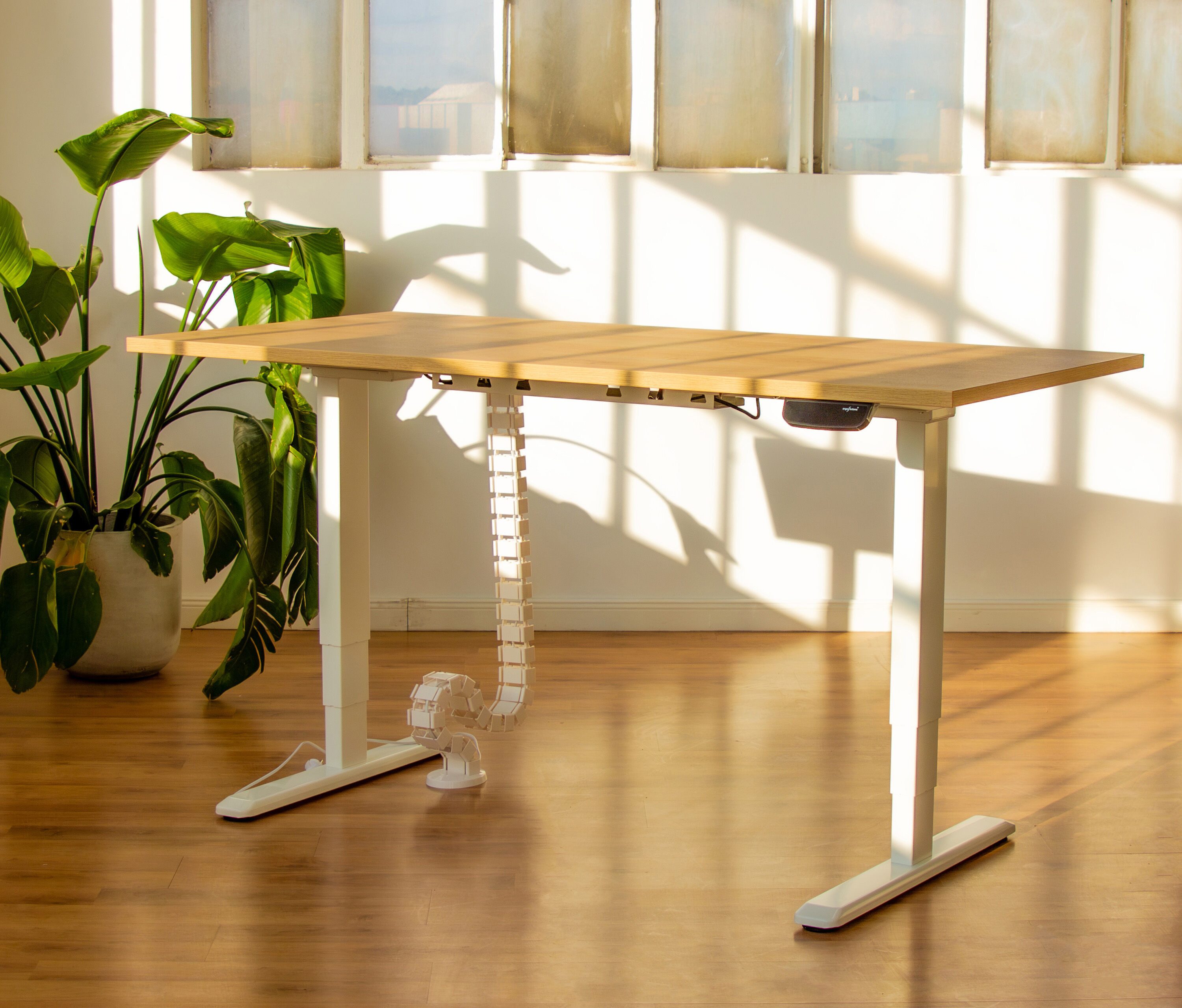 Ergolutions Schreibtisch PRIMUS elektrisch höhenverstellbarer Schreibtisch, 140 kg Traglast / App / Leise / Timer / Memory / Kollisionssensor