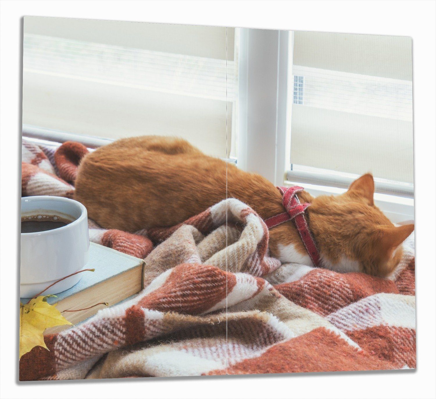 Wallario Herd-Abdeckplatte Schlafende Katze beim Kaffeekränzchen, ESG-Sicherheitsglas, (Glasplatte, 2 tlg., inkl. 5mm Noppen), verschiedene Größen