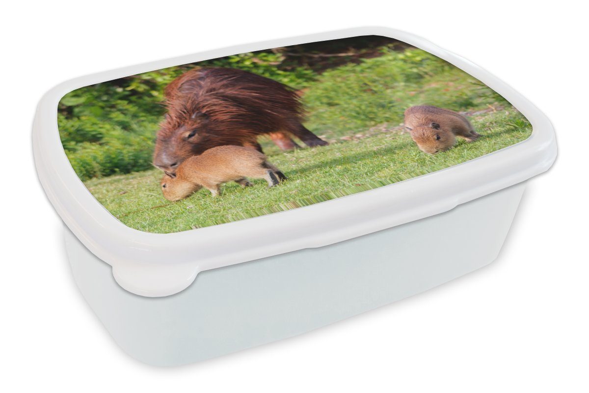 MuchoWow Kunststoff, weiß Brotbox für (2-tlg), Brotdose, für Capibara-Familie und Erwachsene, Jungs im und Gras, Mädchen Kinder Lunchbox