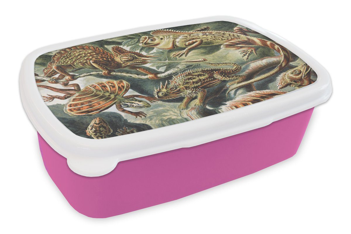 MuchoWow Lunchbox Jahrgang - Kunst - Ernst Haeckel - Salamander - Tiere, Kunststoff, (2-tlg), Brotbox für Erwachsene, Brotdose Kinder, Snackbox, Mädchen, Kunststoff rosa