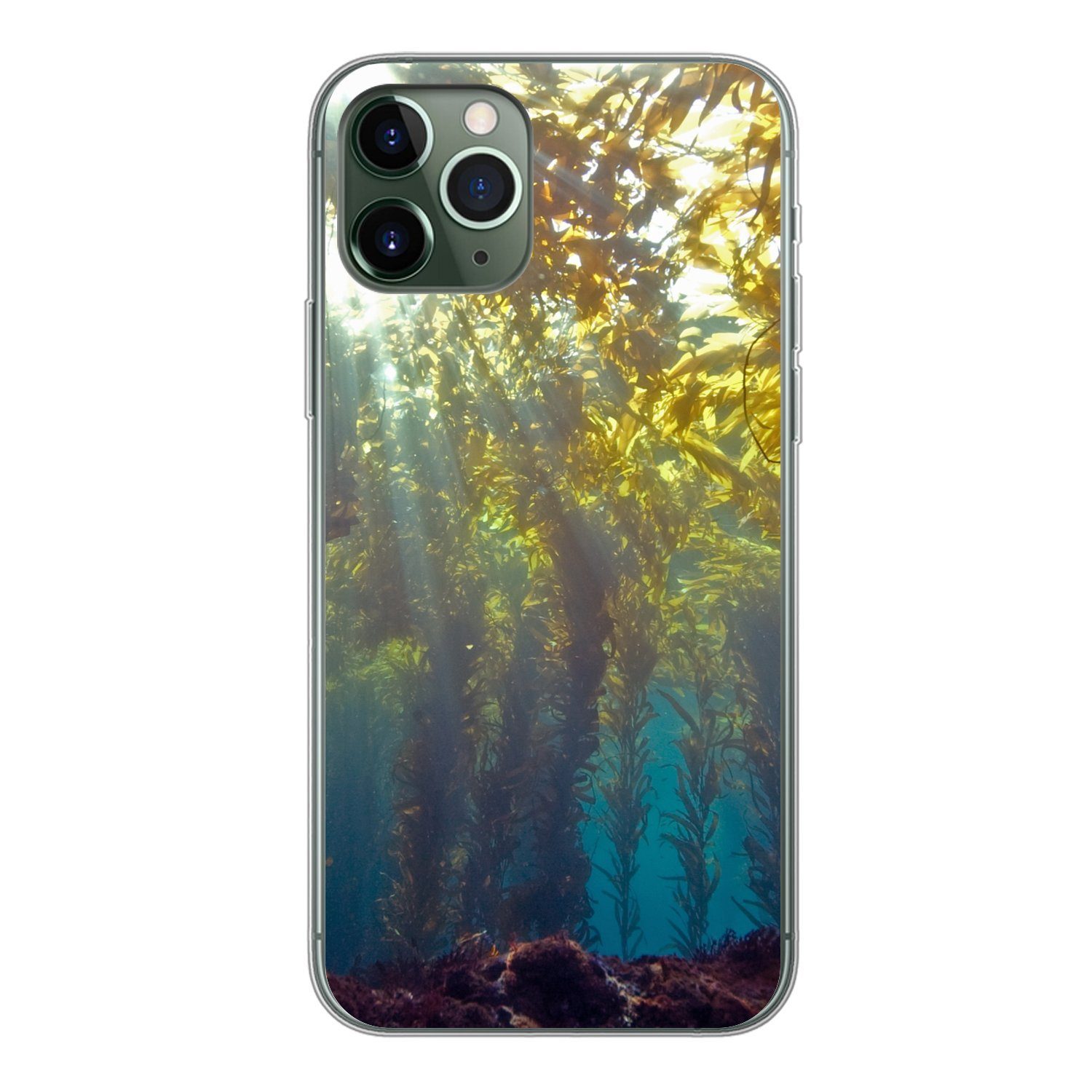 Muchowow Handyhülle Sonnenlicht Und Pflanzen Unter Wasser Handyhülle Apple Iphone 11 Pro 