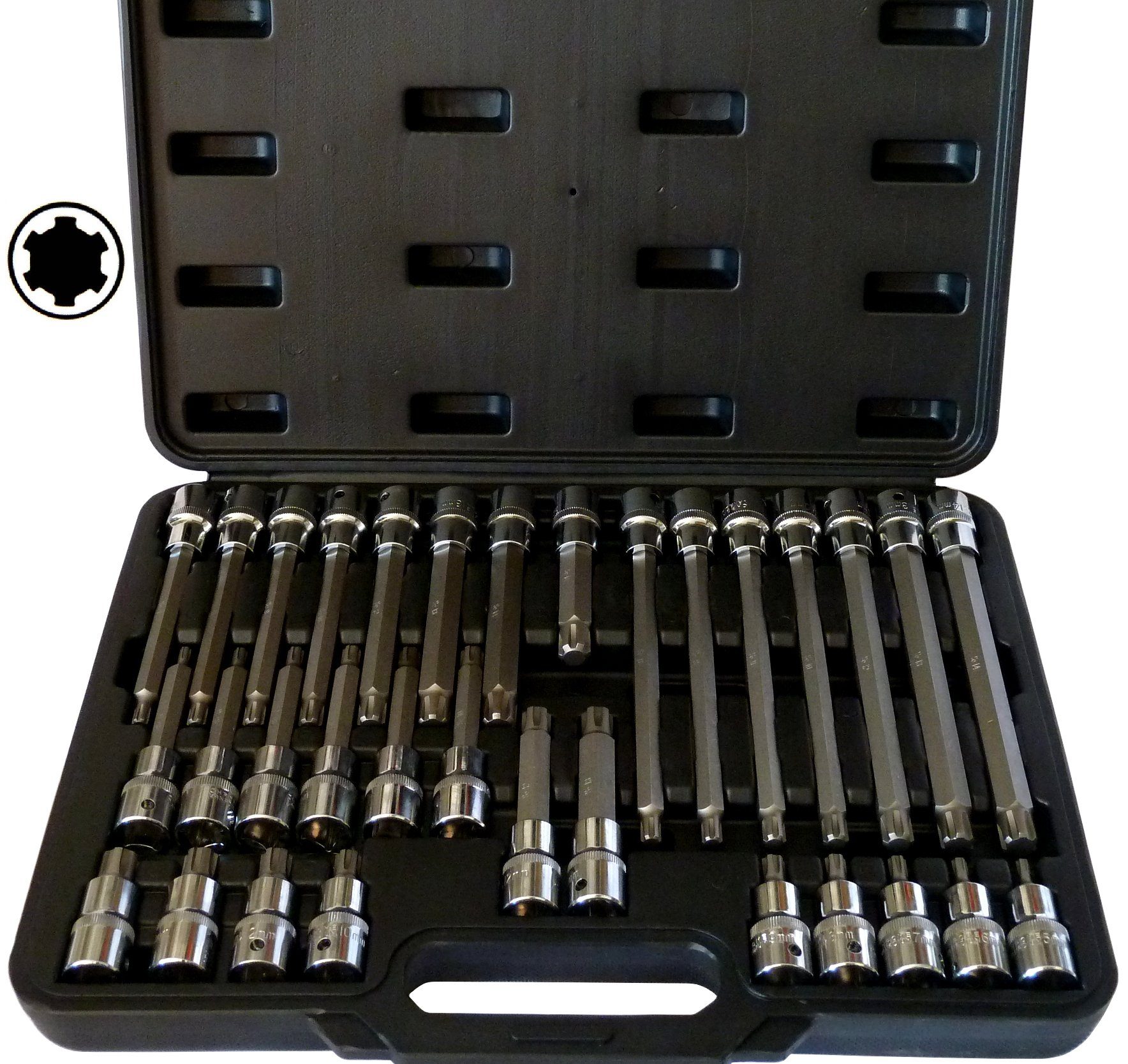 PeTools Bit- und Steckschlüsselset 32tlg Keilnut Steckschlüsseleinsätze M5-M14, Bitsatz, kompatibel RIBE, 32-St.