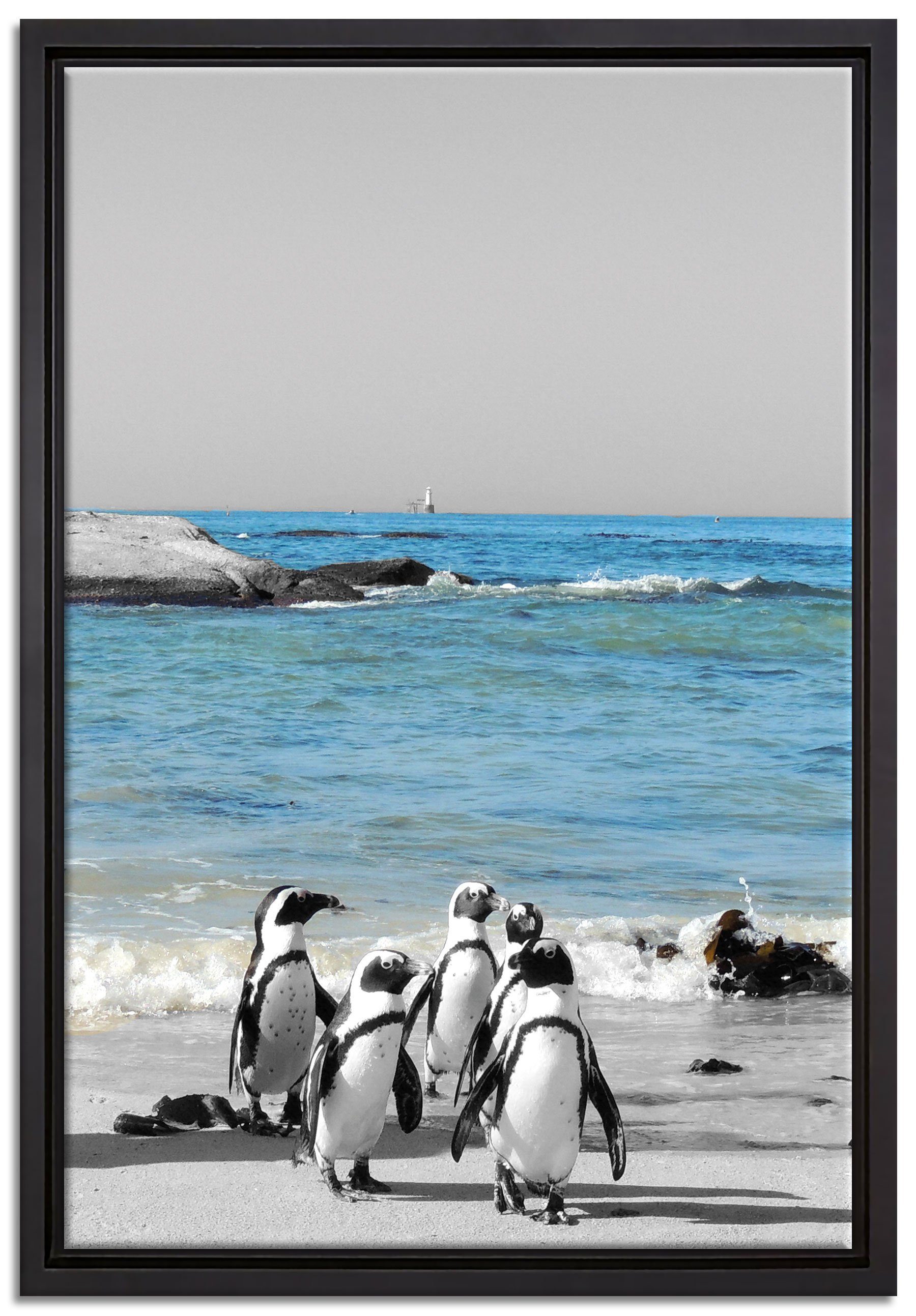 in am Wanddekoration Pixxprint Pinguine fertig gefasst, Leinwandbild einem St), lustige inkl. bespannt, Strand, Schattenfugen-Bilderrahmen (1 Leinwandbild Zackenaufhänger