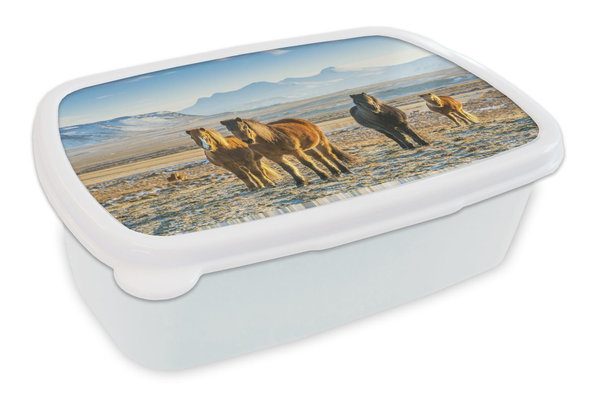 MuchoWow und für in und Mädchen Isländerpferde winterlichen (2-tlg), Lunchbox Brotbox Kunststoff, Berglandschaft, einer Jungs Kinder Brotdose, Erwachsene, für weiß