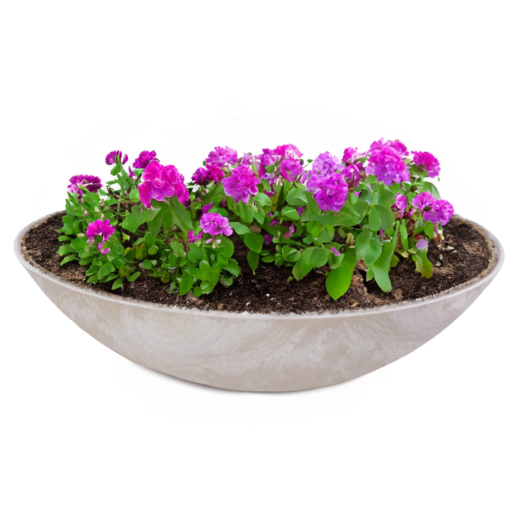 matches21 HOME & HOBBY Blumentopf Flache günstig online kaufen