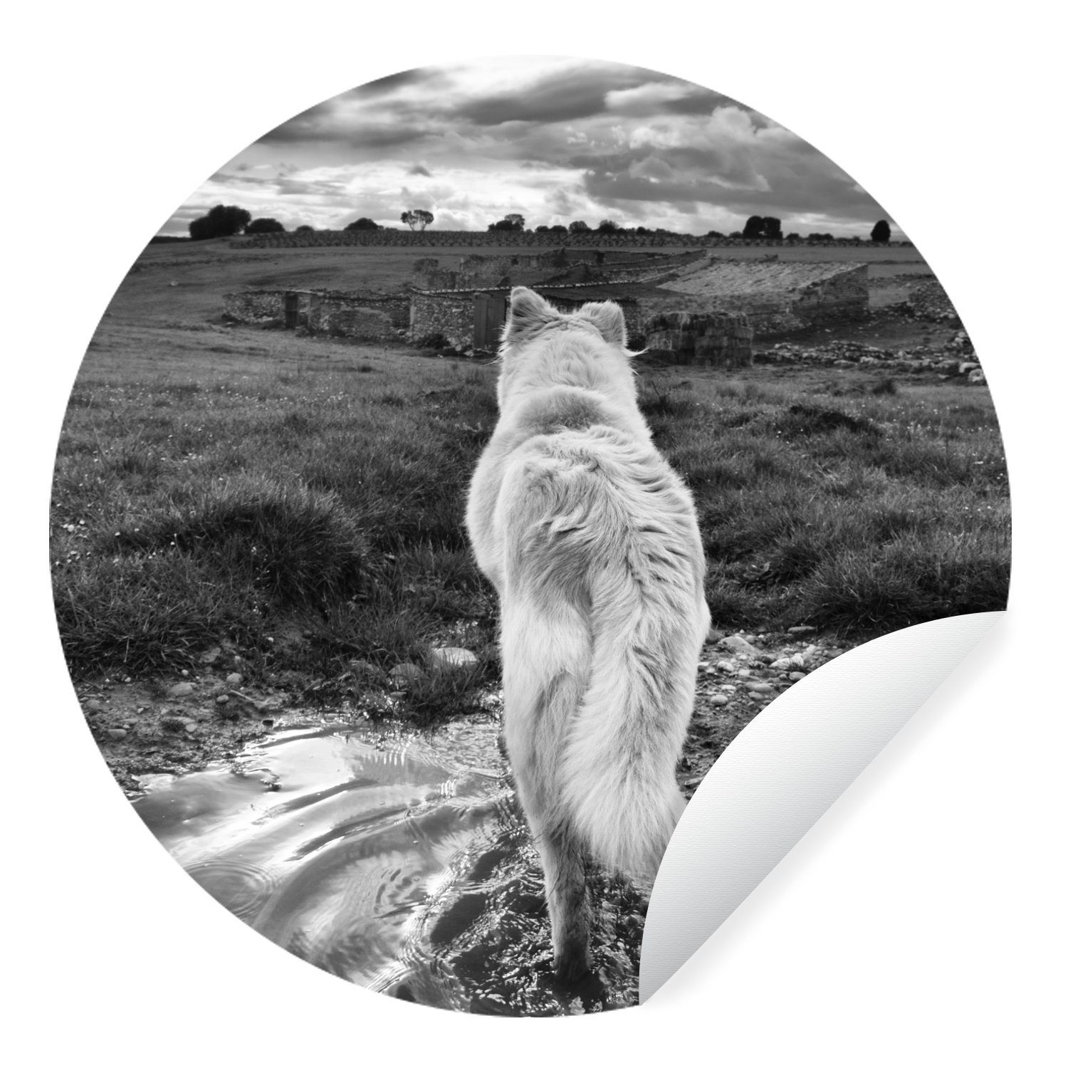 MuchoWow Wandsticker Wolf mit Blick auf die Landschaft in Schwarz und Weiß (1 St), Tapetenkreis für Kinderzimmer, Tapetenaufkleber, Rund, Wohnzimmer