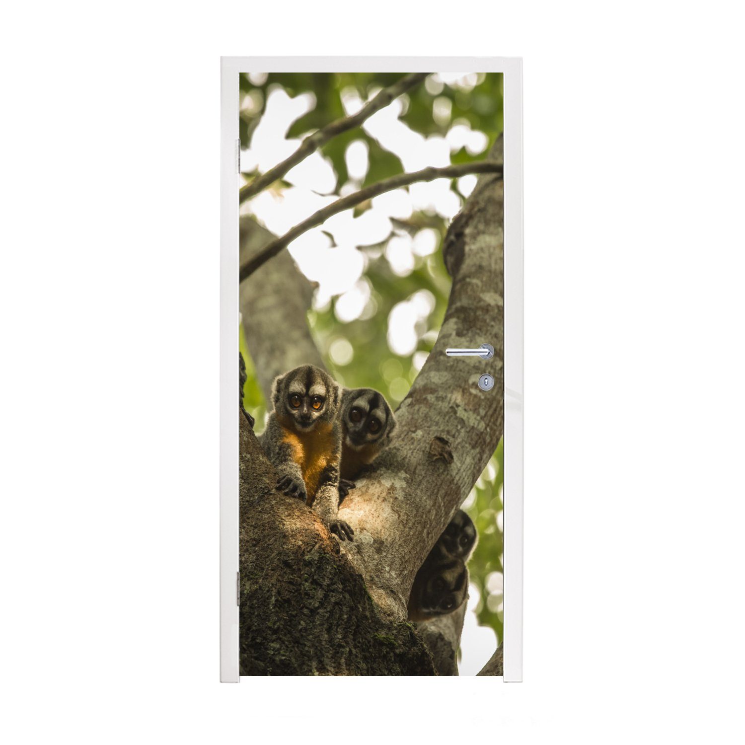 MuchoWow Türtapete Kleine Tiere in einem Baum, Matt, bedruckt, (1 St), Fototapete für Tür, Türaufkleber, 75x205 cm