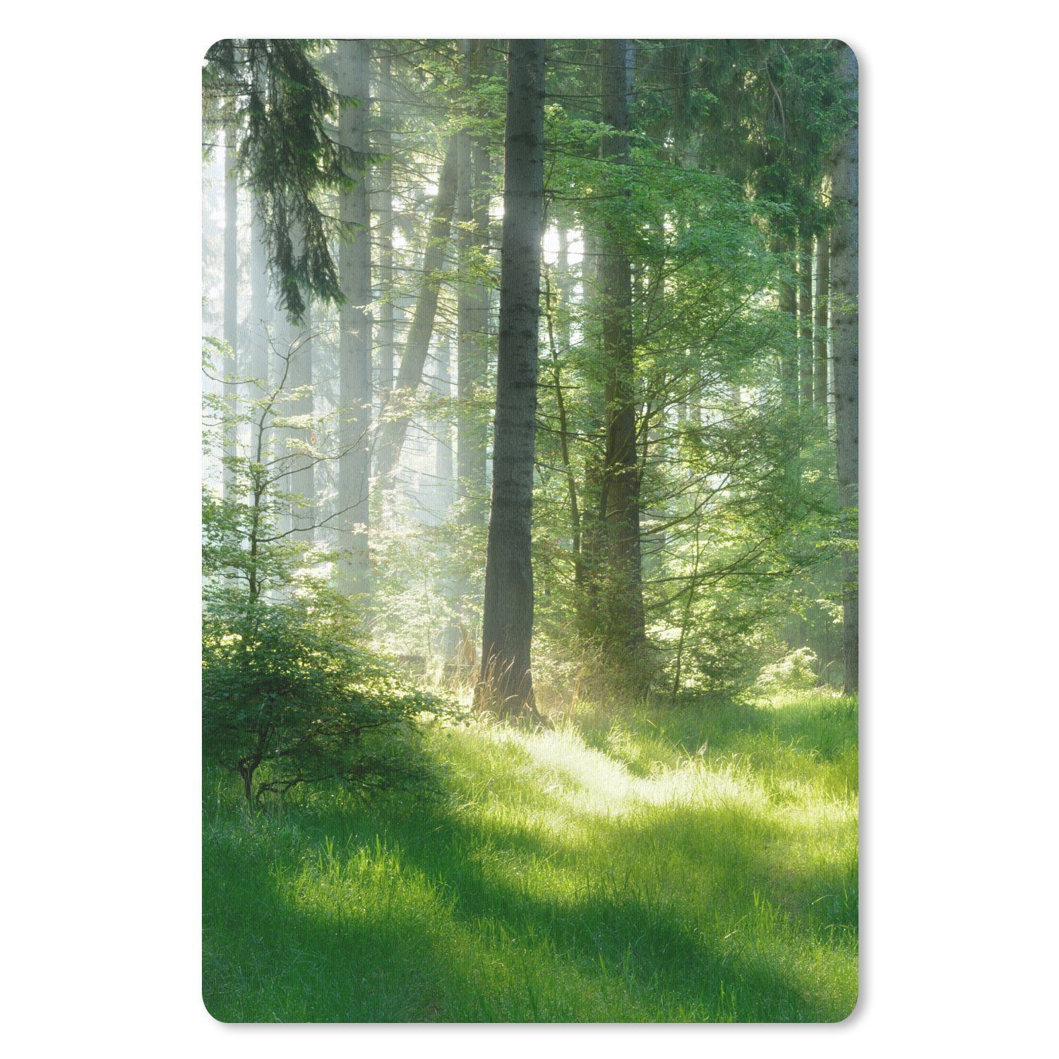MuchoWow Mauspad Natur - Bäume - Wald - Grün - Sonne - Gras - Pflanzen (1-St), Maus Pad Klein, Gaming Zubehör, Büro Deko, 18x27 cm