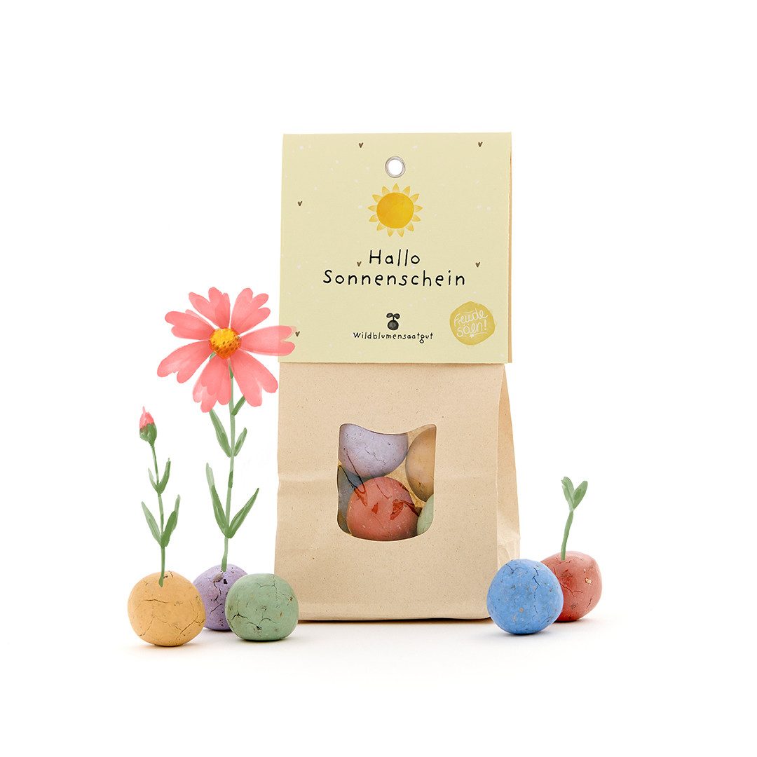 Blumensamen 8 Wildblumen-Saatkugeln mit Sonnenschein Motiv, Geschenkidee