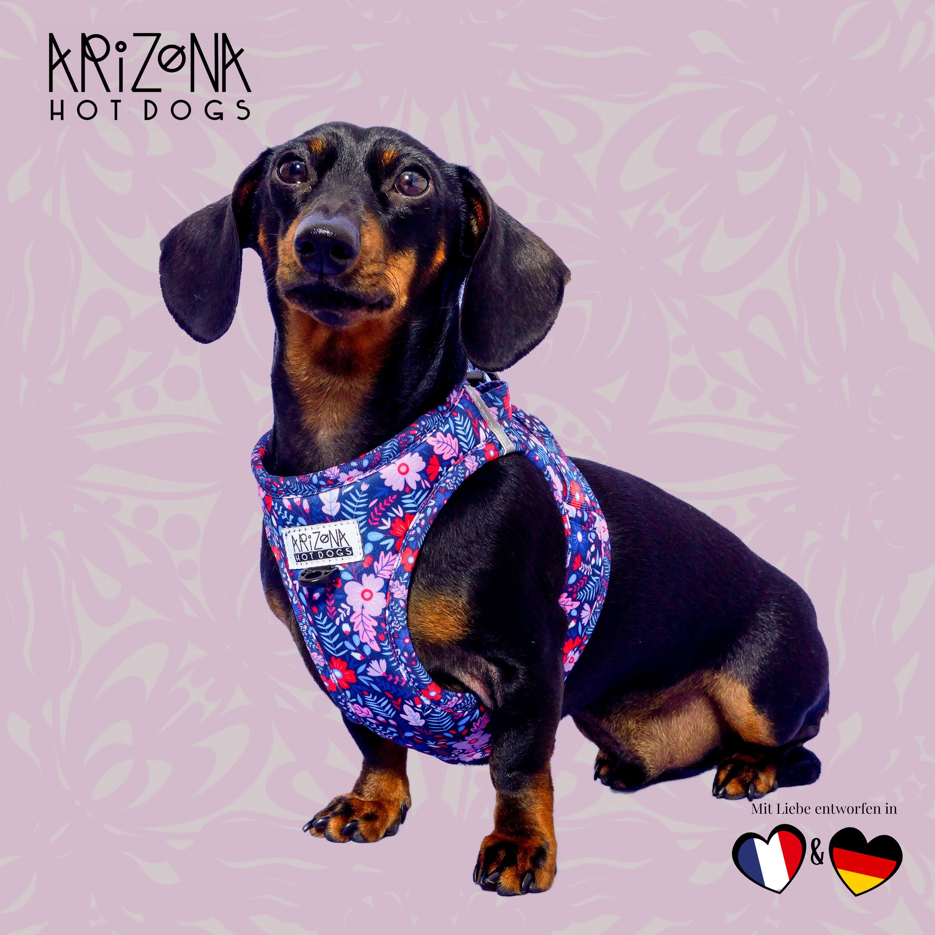 ARIZONA HOT DOGS Hunde-Geschirr Hundegeschirr Step-In Neopren, Arizona Hotdogs Geschirr Violala, XS