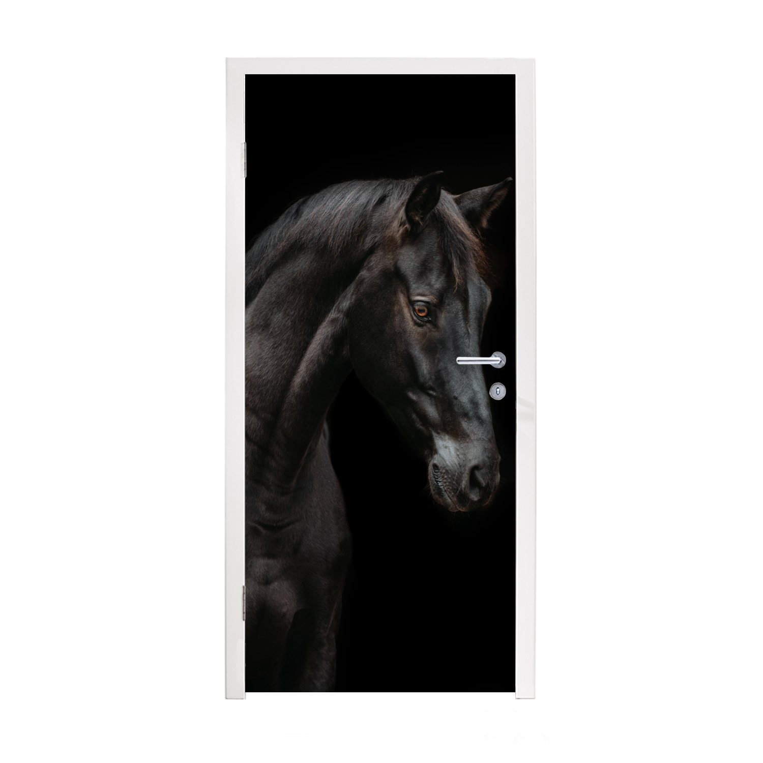 MuchoWow Türtapete Pferd - Tier - Schwarz, Matt, bedruckt, (1 St), Fototapete für Tür, Türaufkleber, 75x205 cm