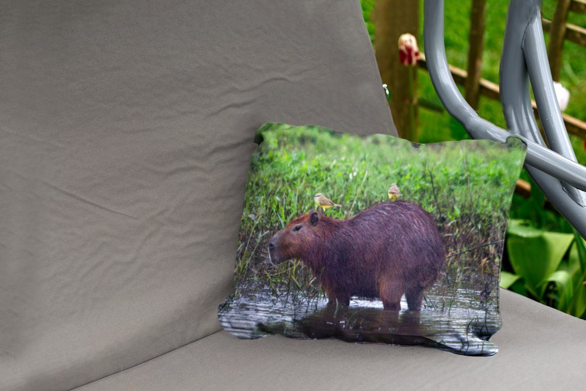 MuchoWow Dekokissen Ein Wasserschwein in Sumpfgebiet, Dekokissenbezug, Polyester, Kissenhülle Outdoor-Dekorationskissen, einem