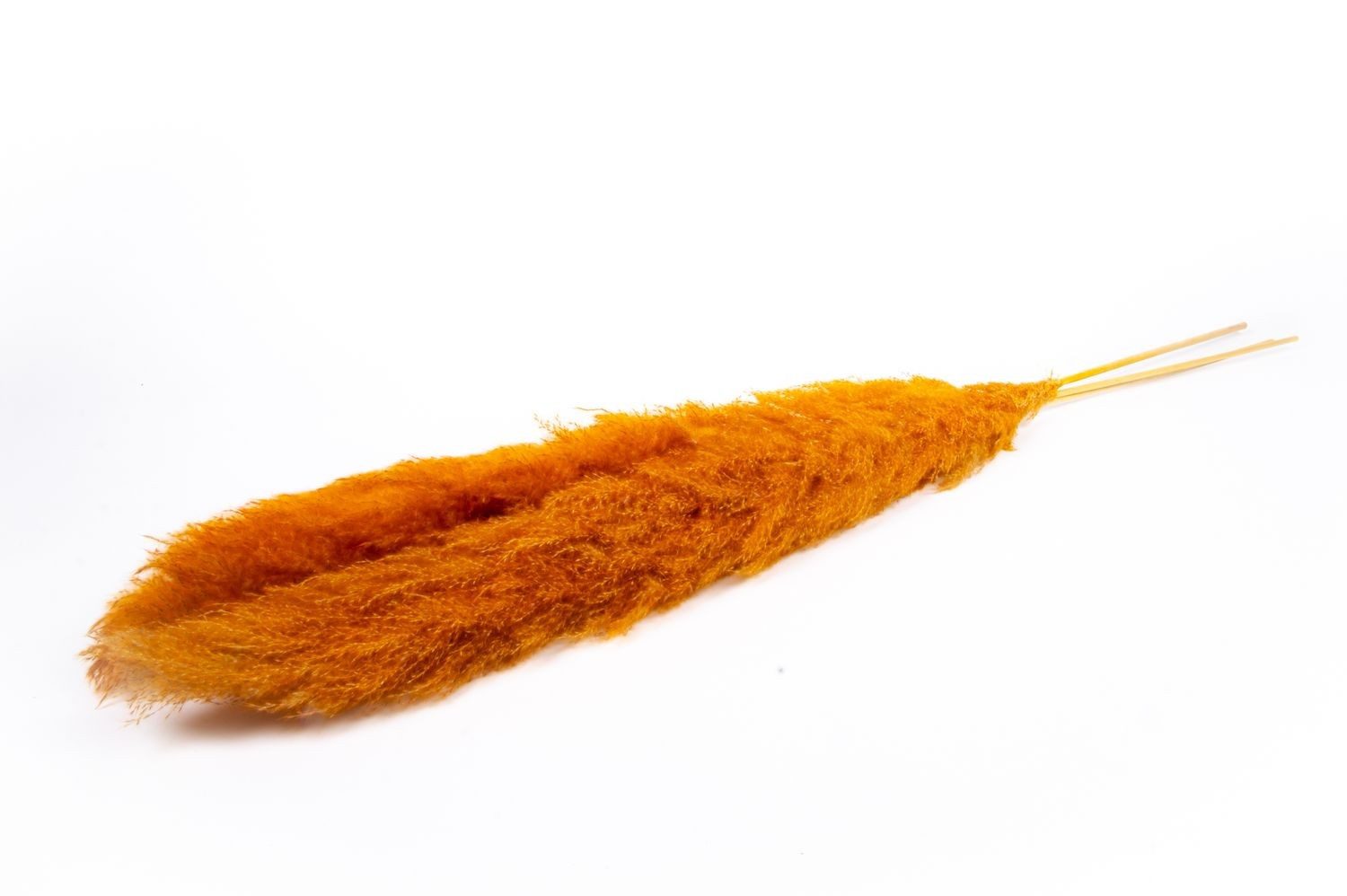 Trockenblume Pampasgras getrocknet ANIAMI, orange, 130-140cm, Ø20cm, INNA-Glas, Höhe 140.0 cm