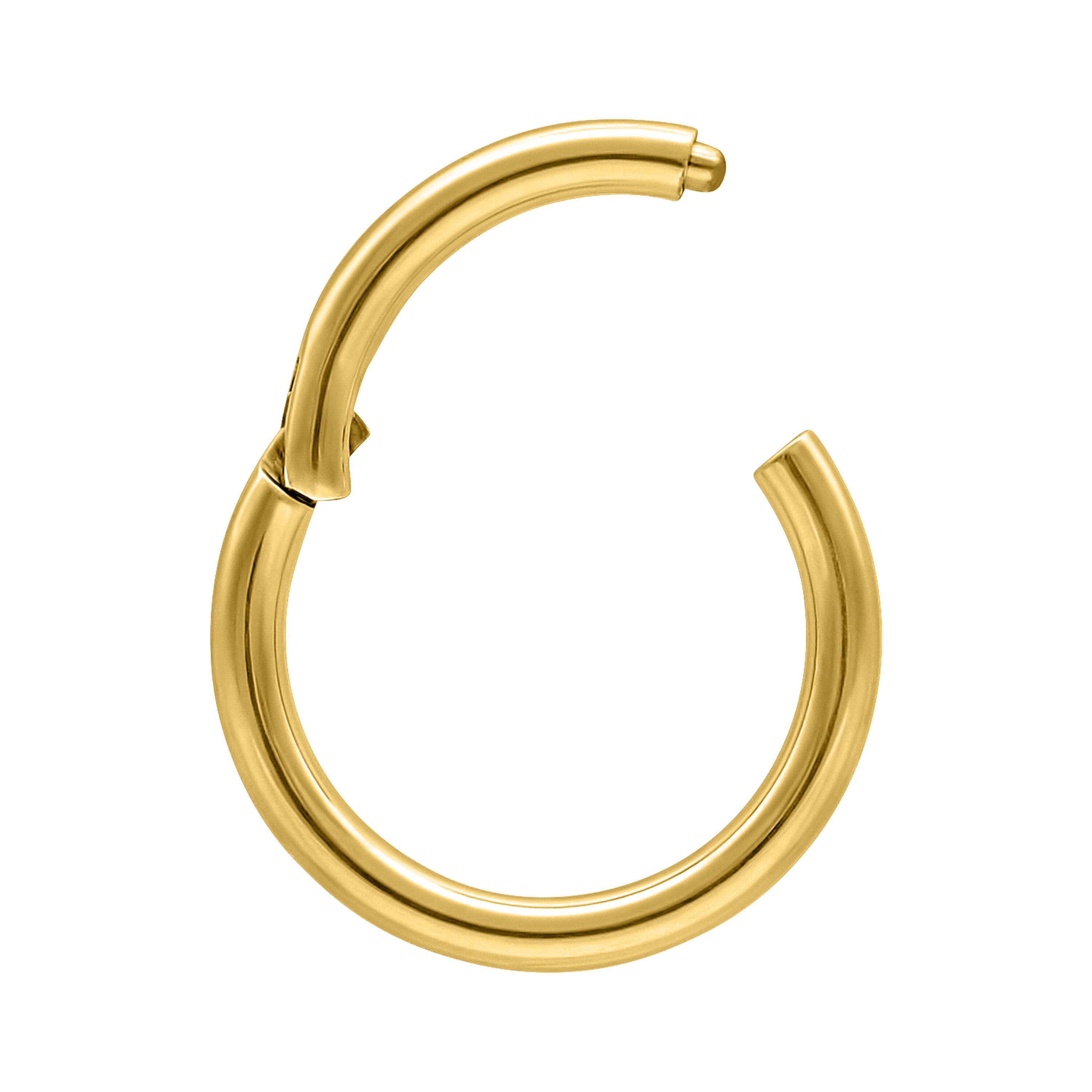 Wildcat Nasenpiercing Hinged Ring für Ohr, Nase, Lippe, Bauchnabel, 1 Stück, Titan Grad 23 - wasserfest, hautverträglich, Gold
