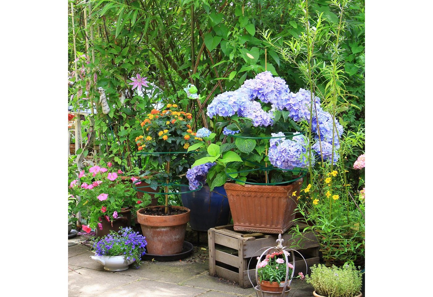 Thumbnail - relaxdays Rankhilfe Staudenringe 39 cm 6er Set