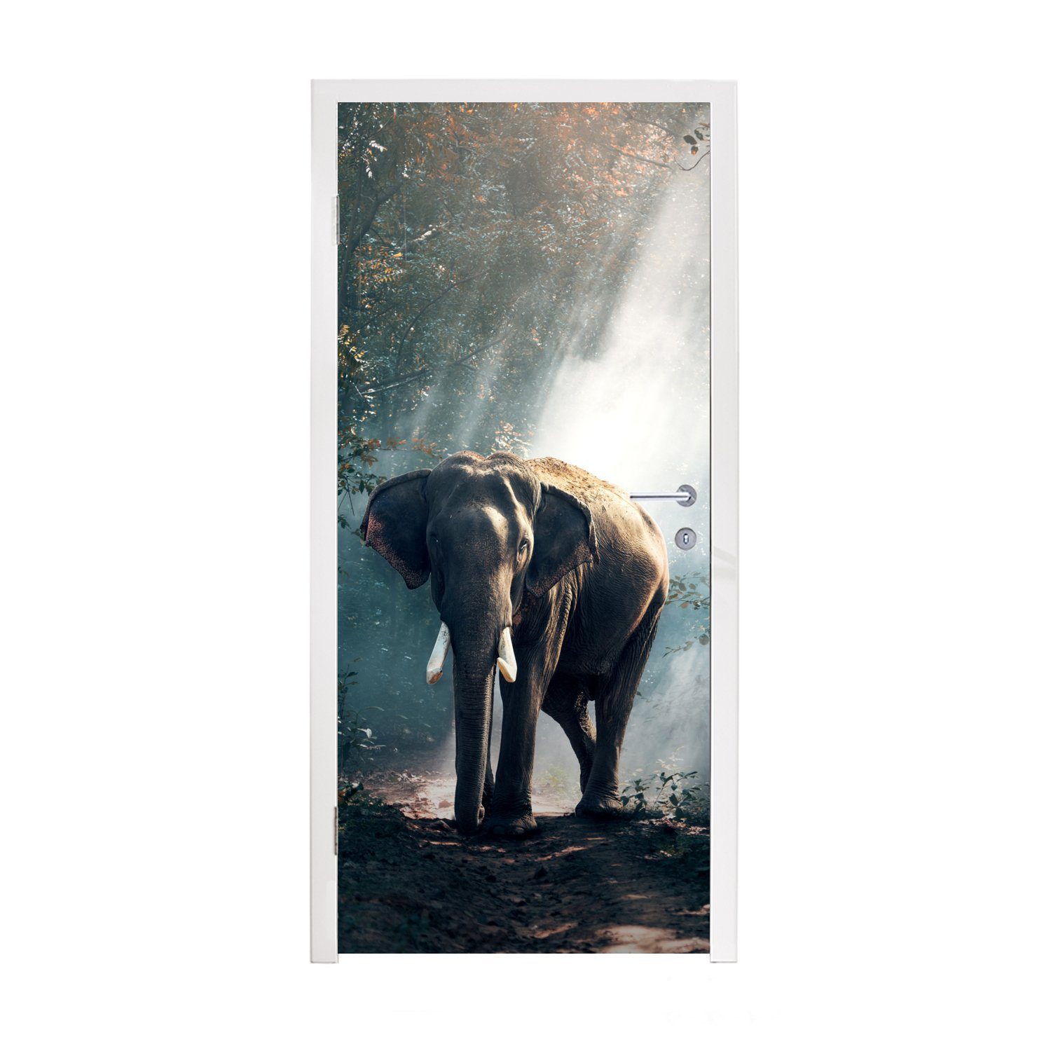 MuchoWow Türtapete Elefant - Tiere - Licht - Wald - Natur - Wildtiere, Matt, bedruckt, (1 St), Fototapete für Tür, Türaufkleber, 75x205 cm