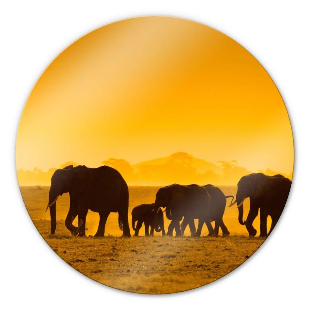 K&L Wall Art Gemälde Glas Wandbild Rund Glasbild Elefanten Safari Afrika Silhouette, Wandschutz Deko Bilder