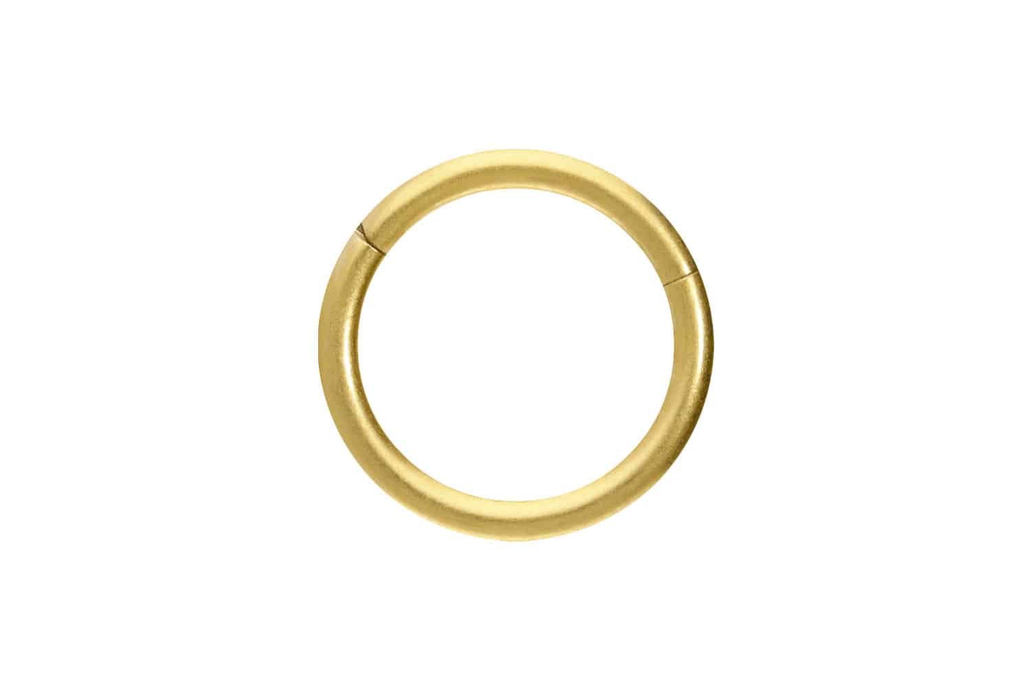 PIERCINGLINE Nasenpiercing Titan Segmentring Clicker MATT Ohrpiercing Septu günstig online kaufen