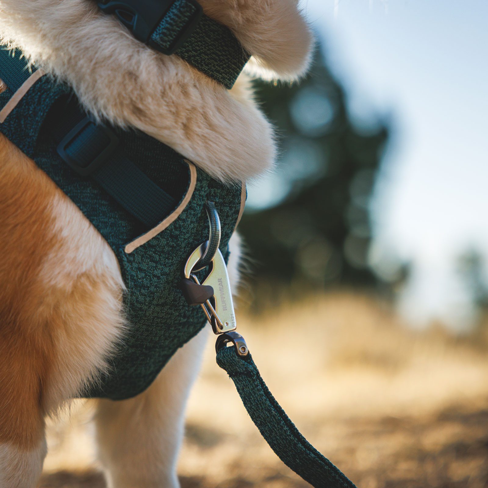 Ruffwear Hunde-Geschirr FRONT RANGE™ Flex Harness 3072-444, Gepolstertes Brustgeschirr für Hunde