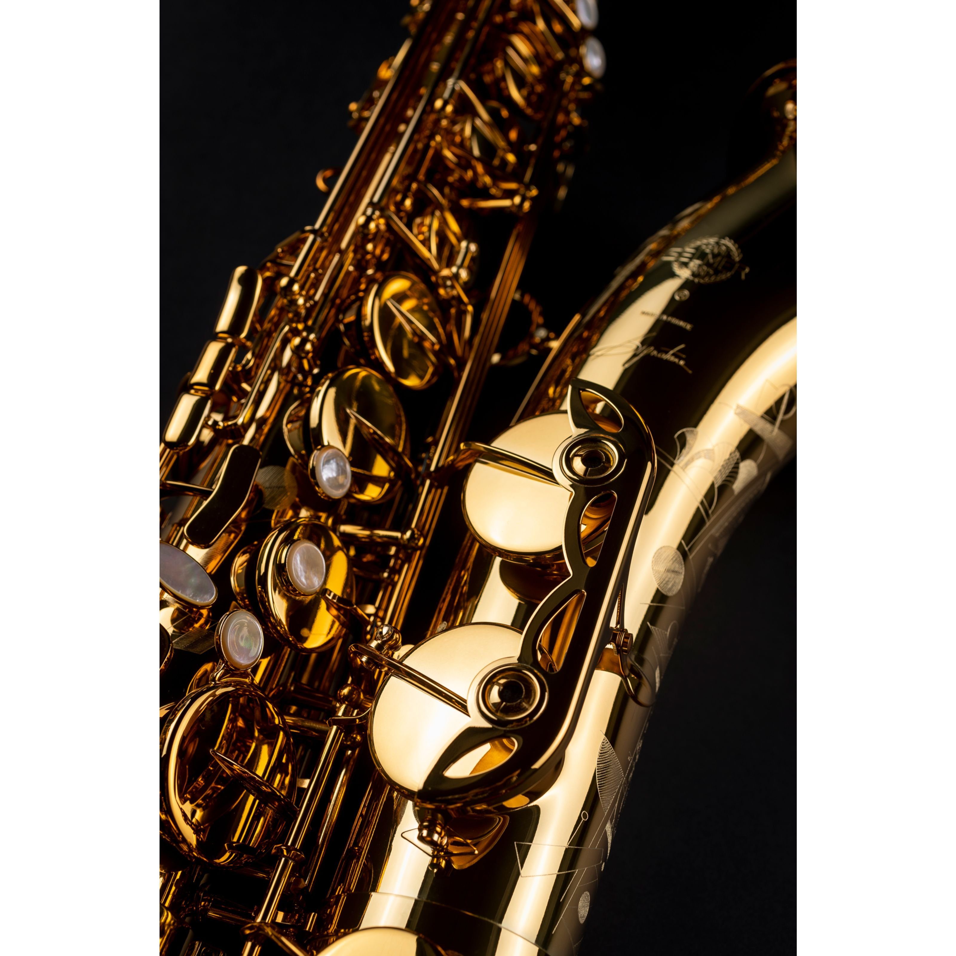 Selmer Saxophon, Saxophone, Tenor Saxophone, Tenorsaxophon Signature, Goldlack - Tenor Saxophon