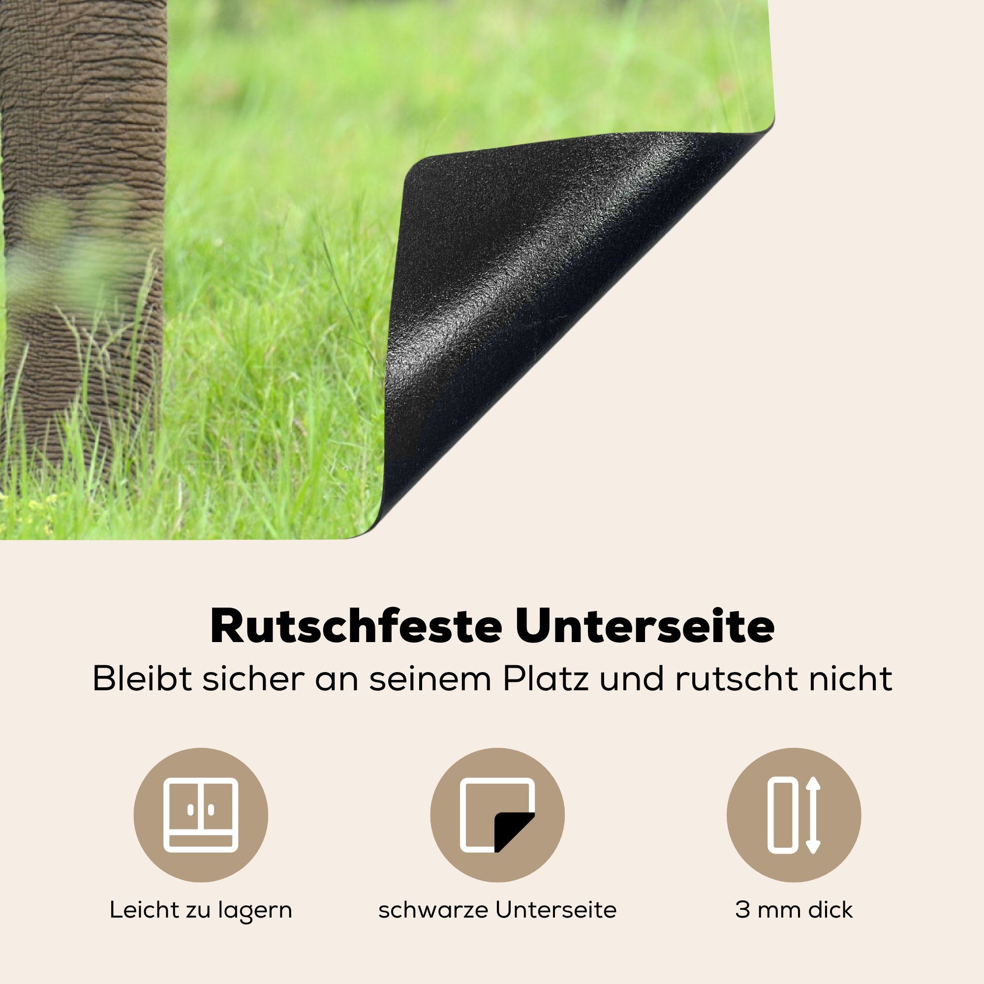 MuchoWow Herdblende-/Abdeckplatte Elefant - (1 tlg), Tiere, für Arbeitsplatte Palme cm, küche 78x78 - Ceranfeldabdeckung, Vinyl