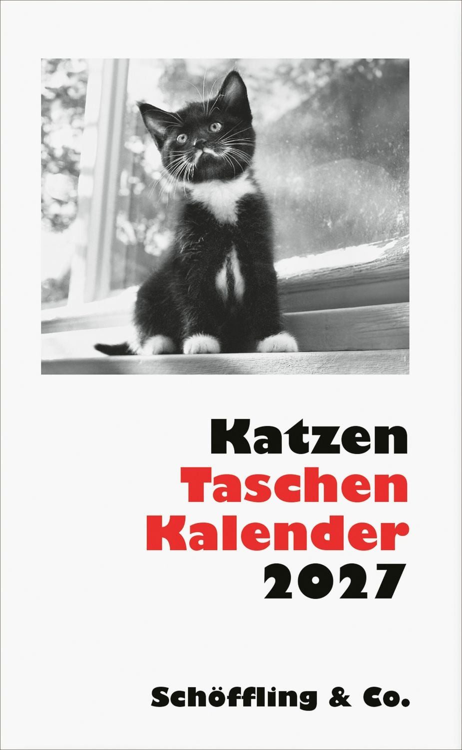 Buchkalender Katzen Taschenkalender 2027