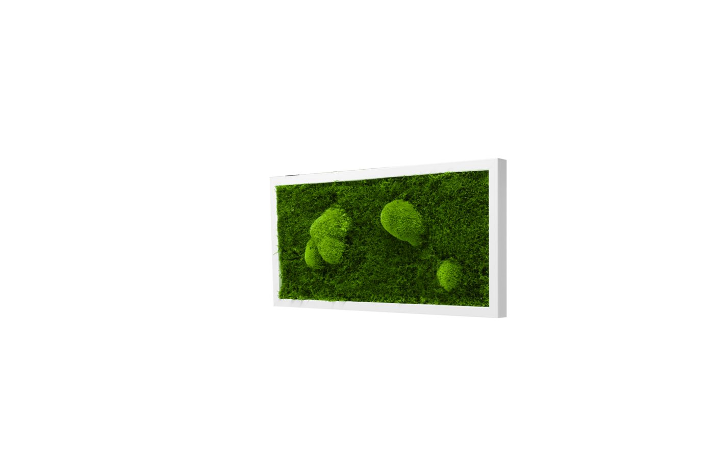 Moos-Design Bilderrahmen Moos Bild Forest Design günstig online kaufen