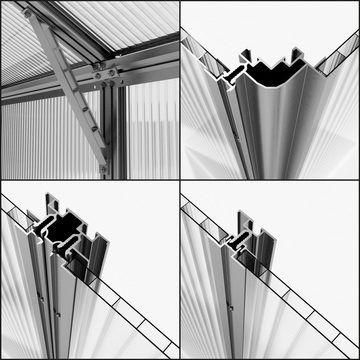 GFP Gewächshaus Topas 2 mit Set, 8 mm Wandstärke, mit Fundamentrahmen & autom. Fensteröffner